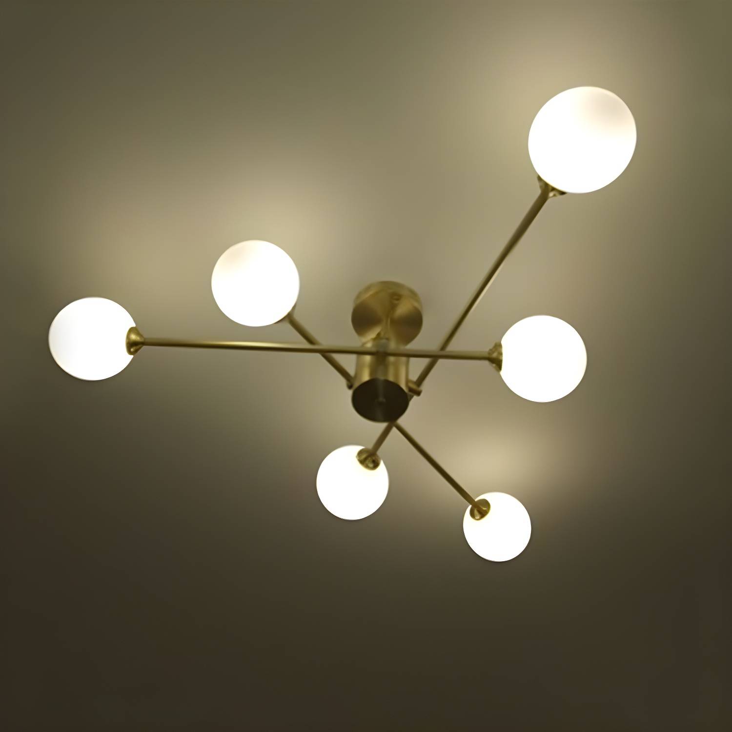 Imported image acd5be8378f5 3318362.jpg