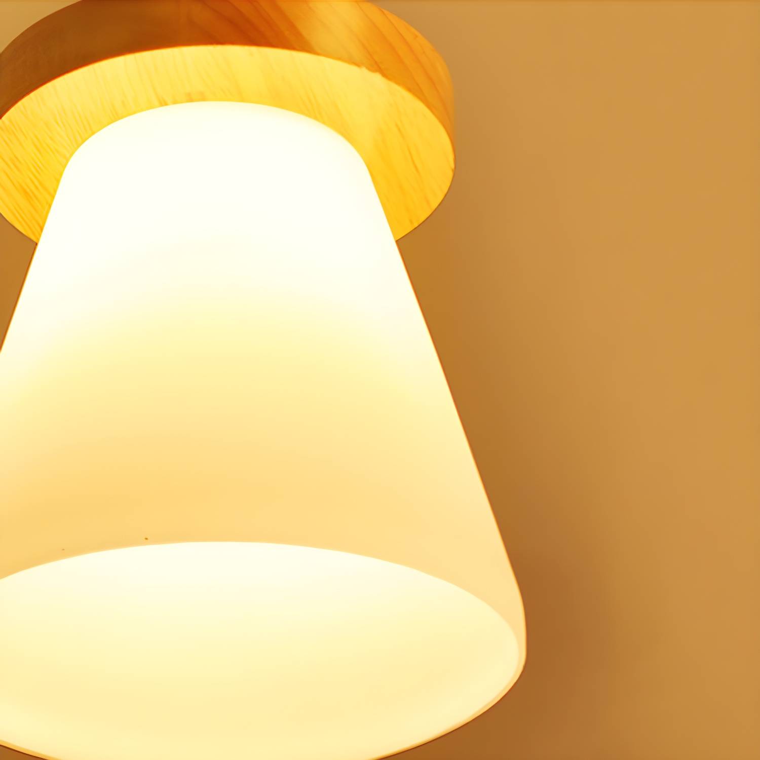 Imported image 659c11774987 3318586.jpg