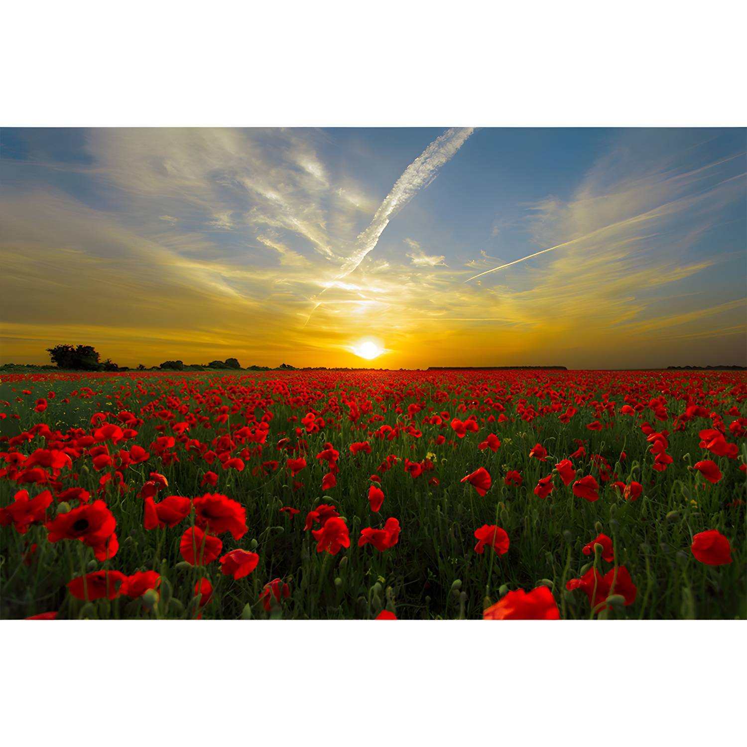 Imported image 442a790eec2b 3319322.jpg