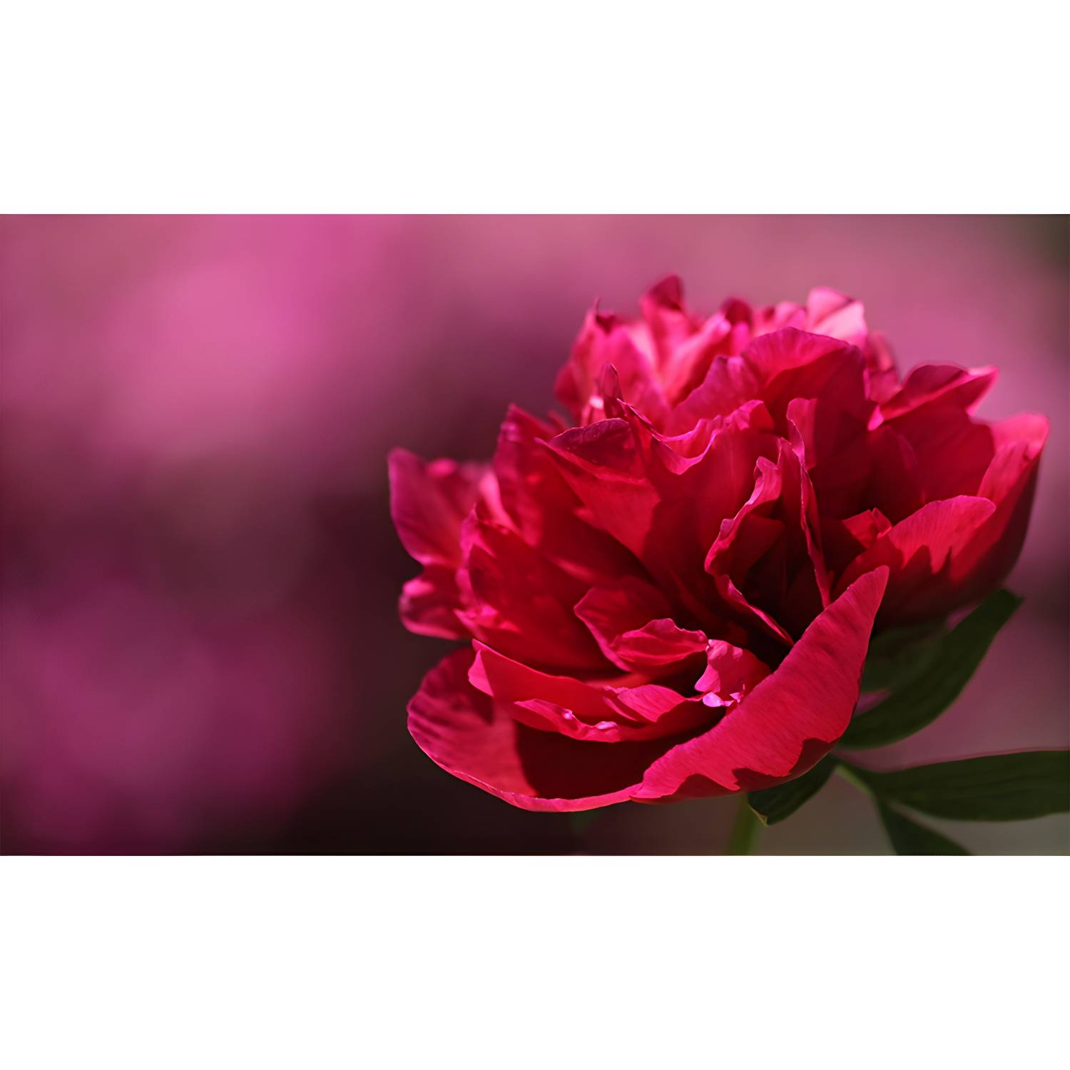 Imported image 6b95d2803a9b 3319430.jpg