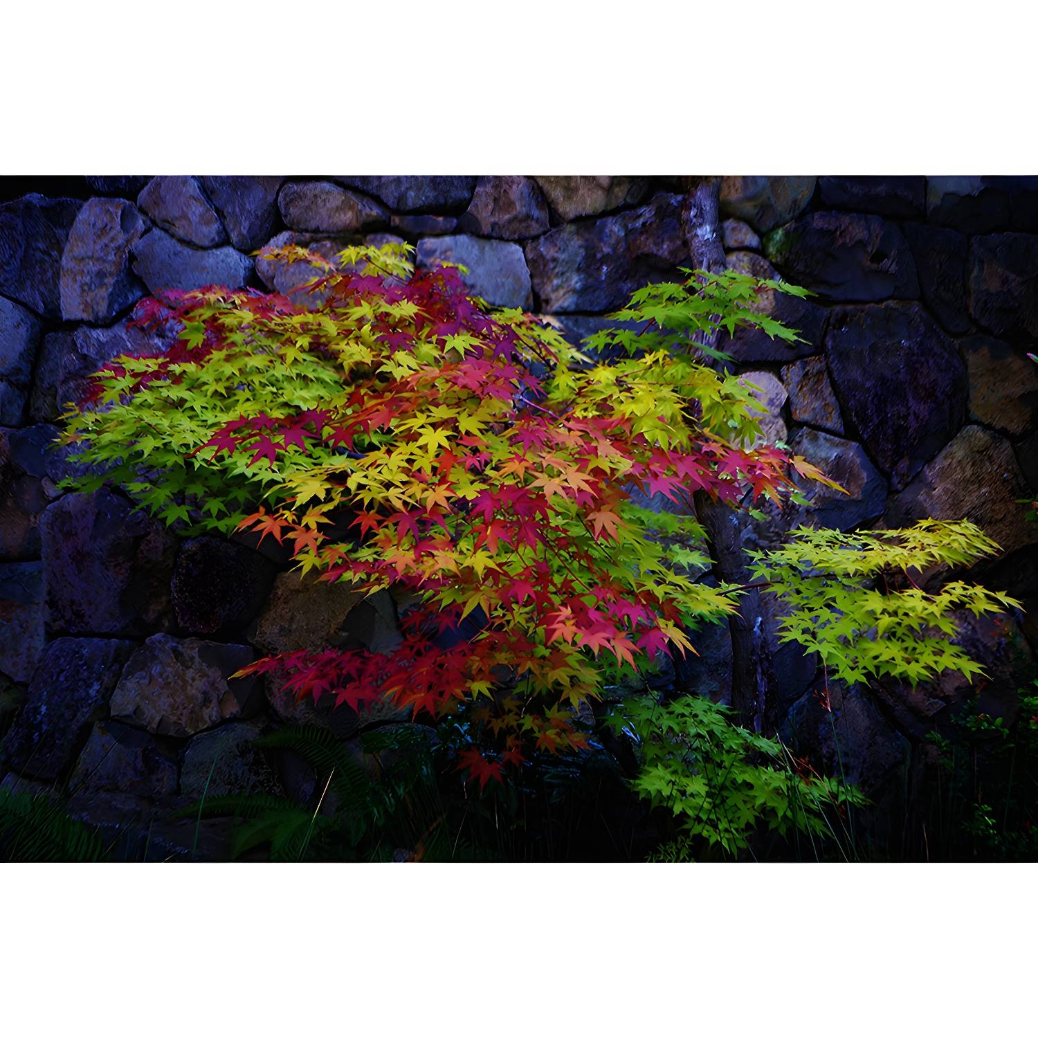 Imported image 2017f57f49b4 3319772.jpg