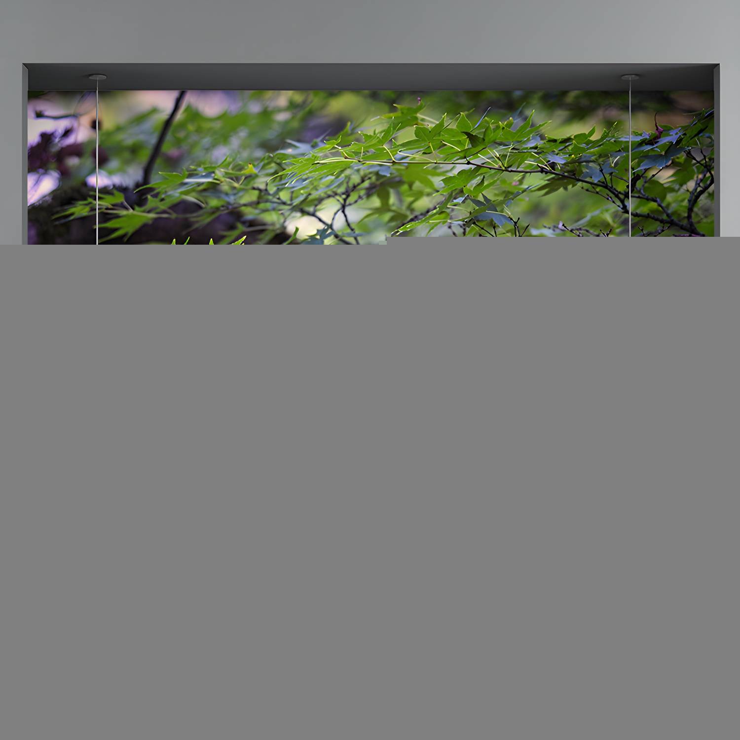 Imported image 0823cc4b6187 3319780.jpg