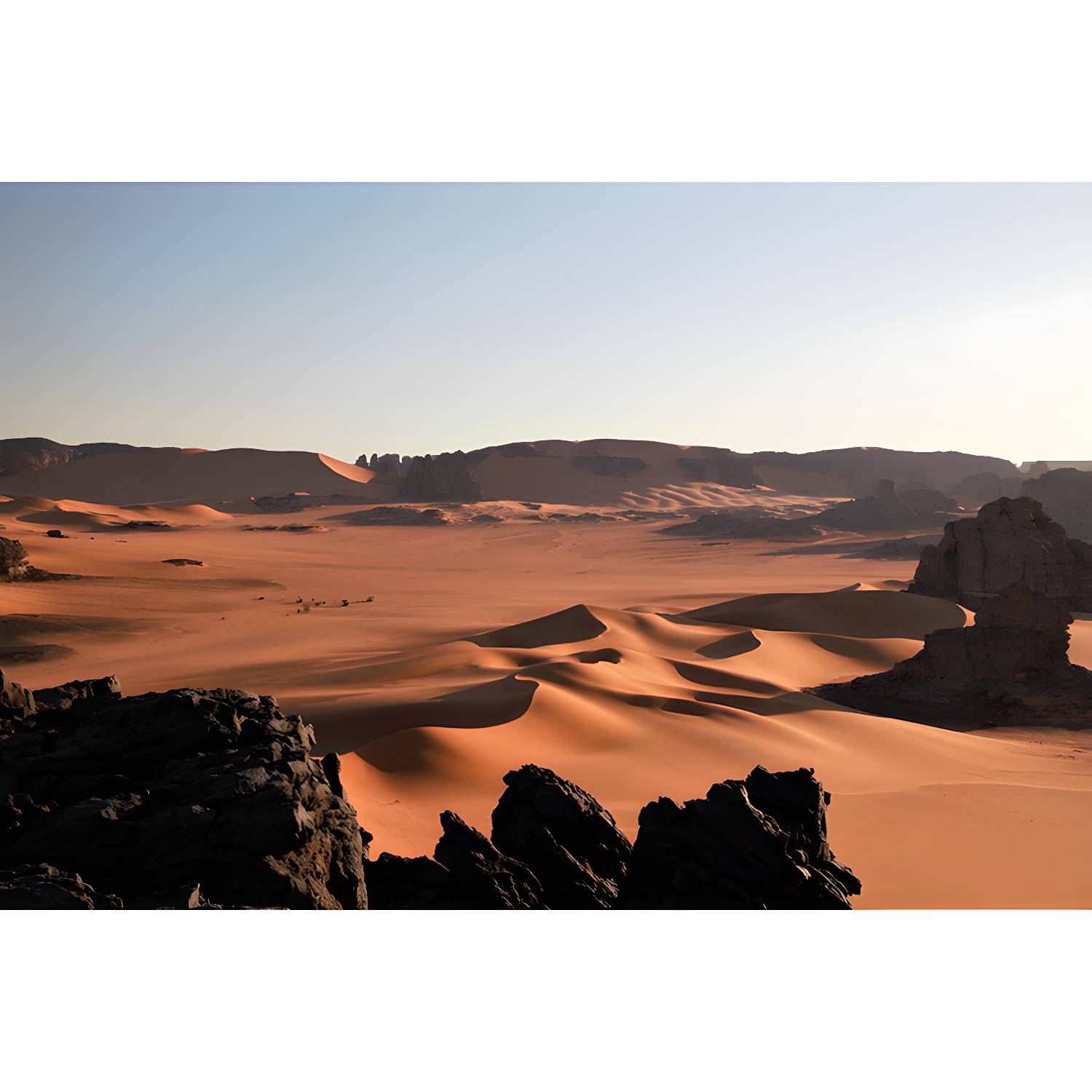 Imported image a29873adca92 3319804.jpg