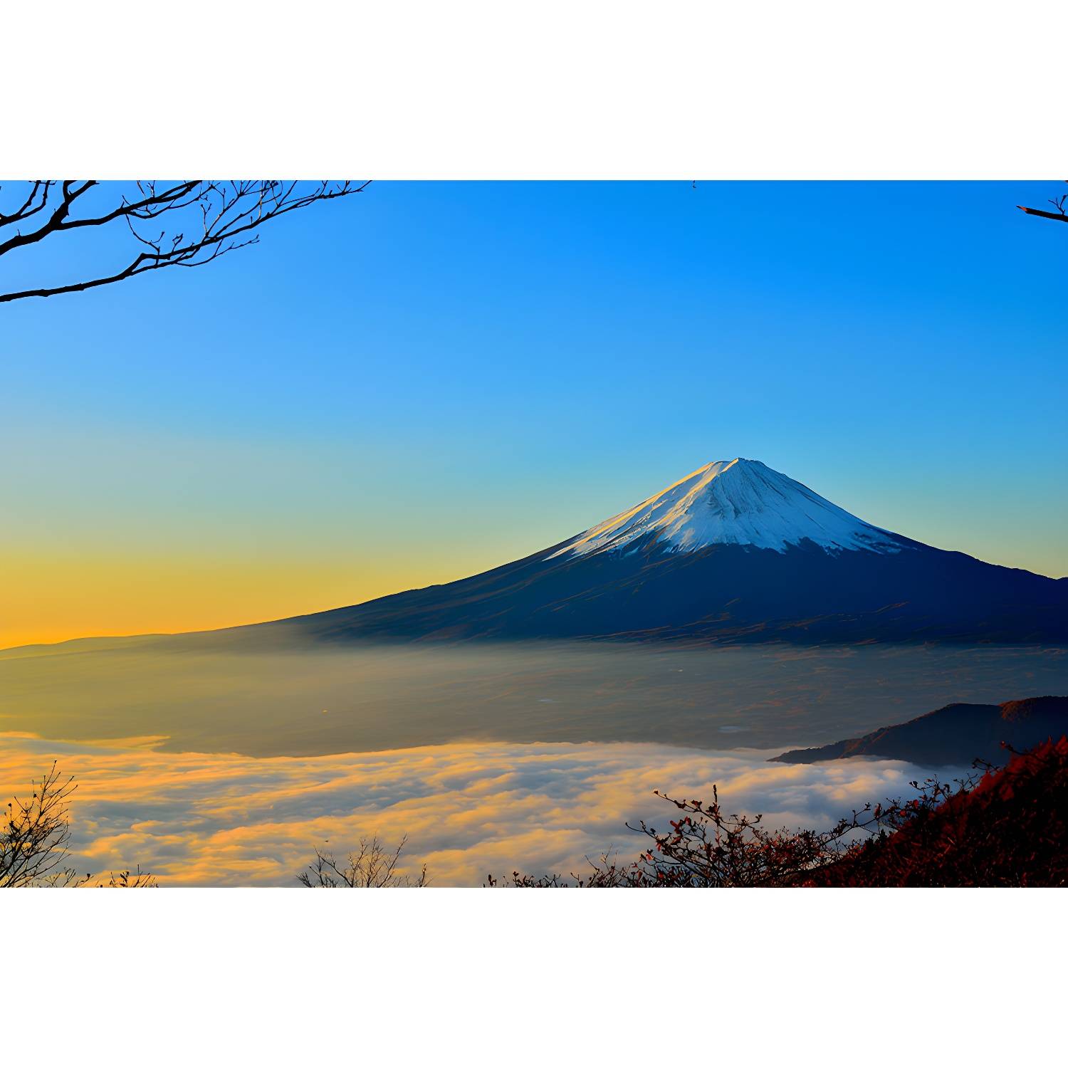 Imported image 630fe3b16fdf 3320042.jpg