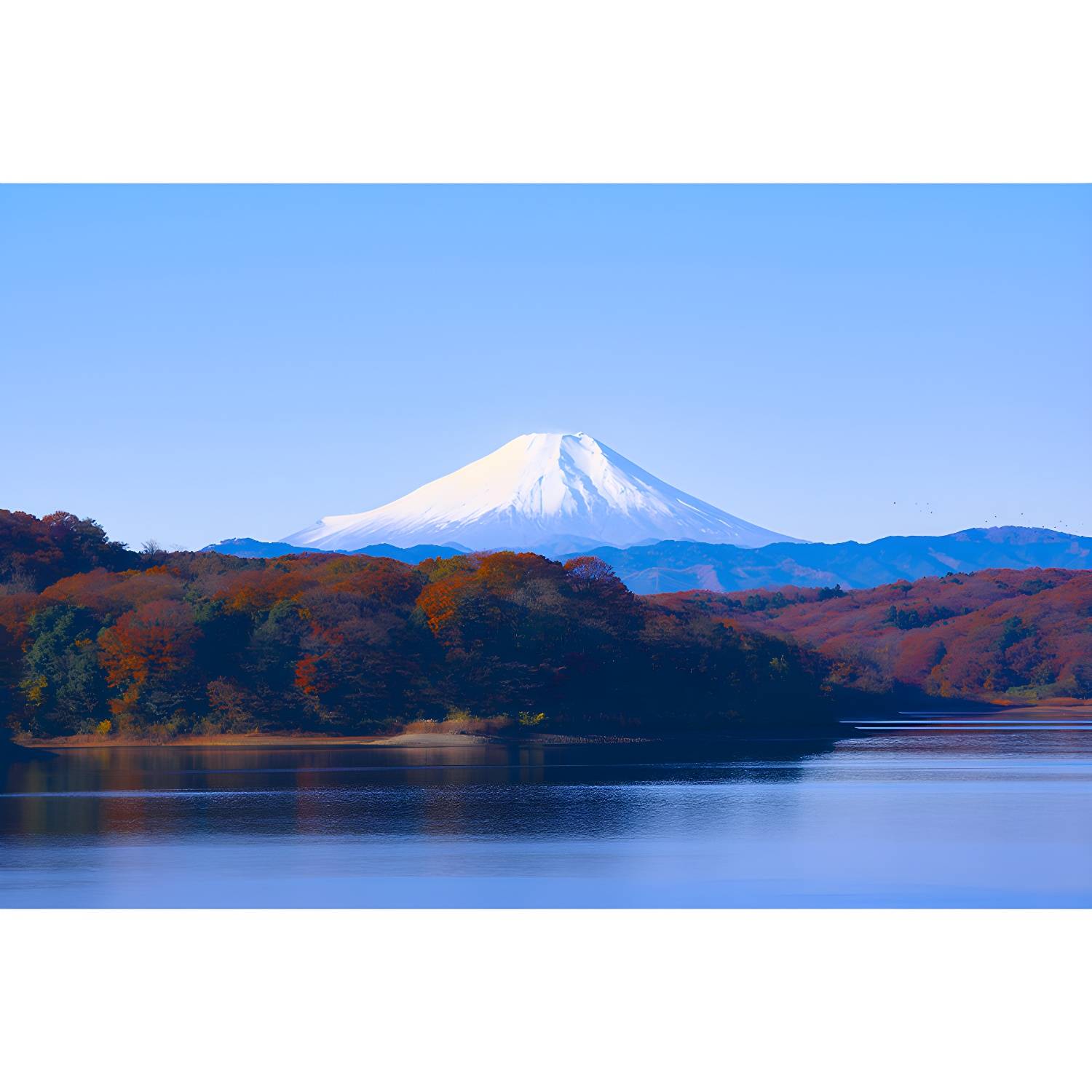 Imported image e6c00b127ab7 3320056.jpg