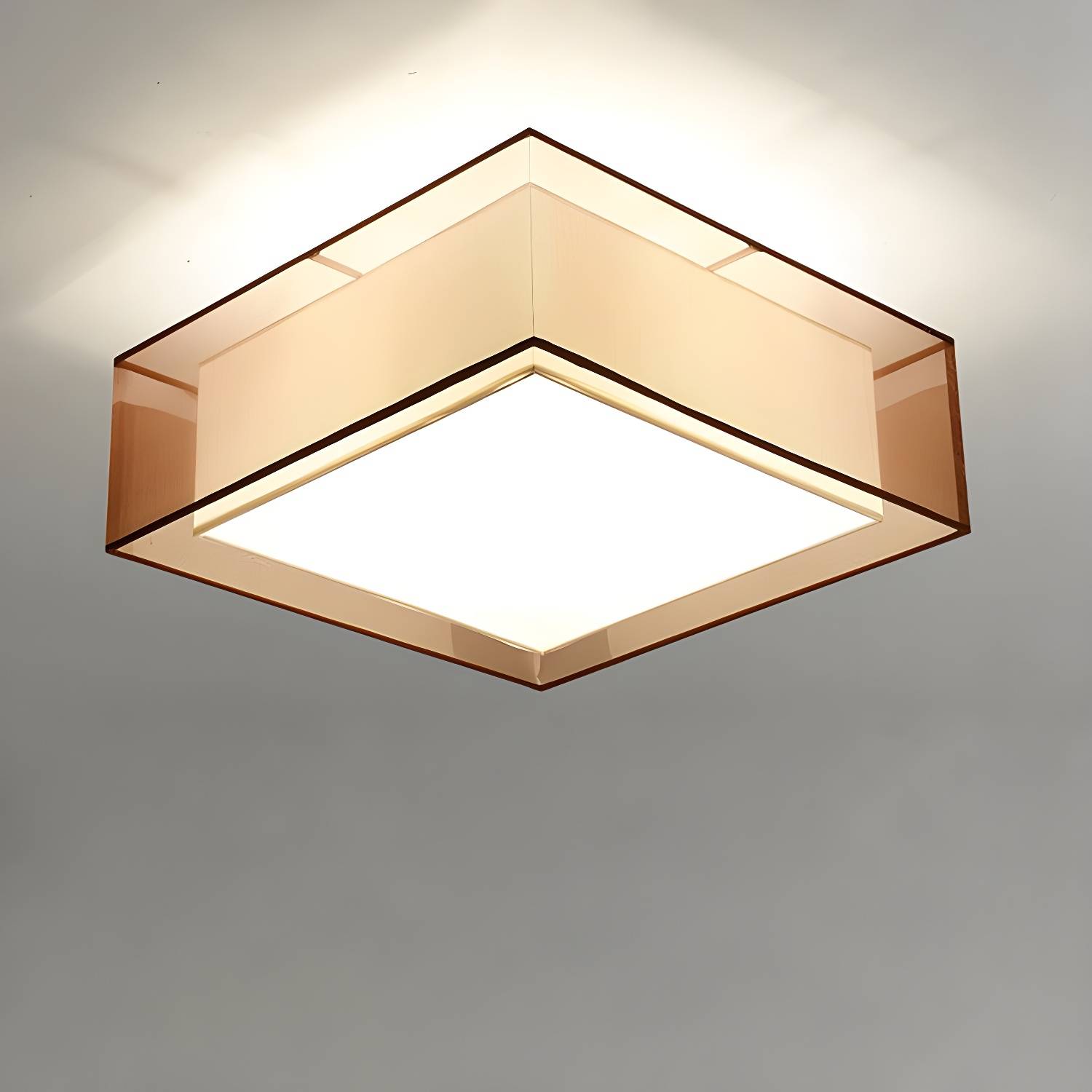 Imported image 691a116c7180 3327460.jpg