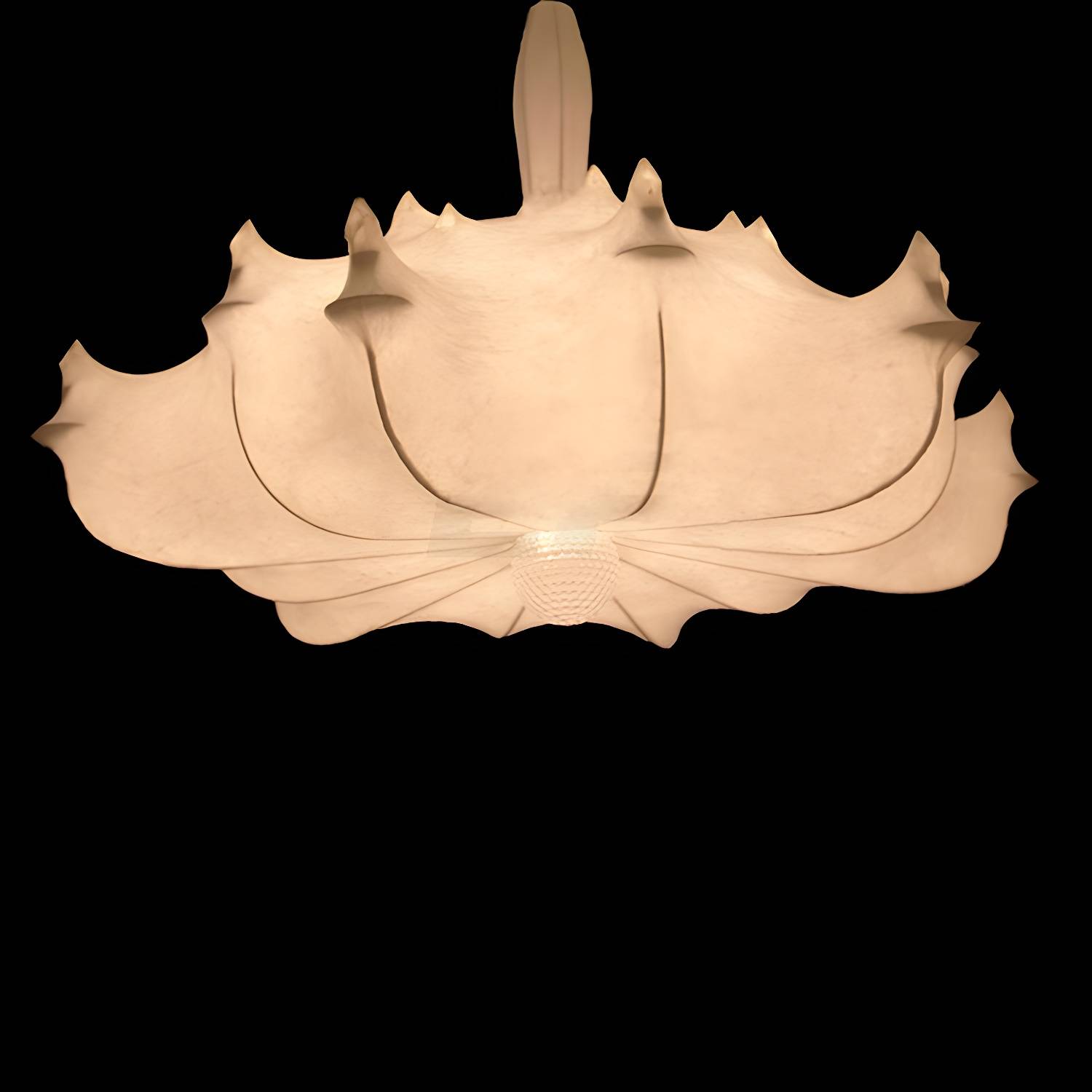 Imported image 22f0ed1b2b27 3327984.jpg