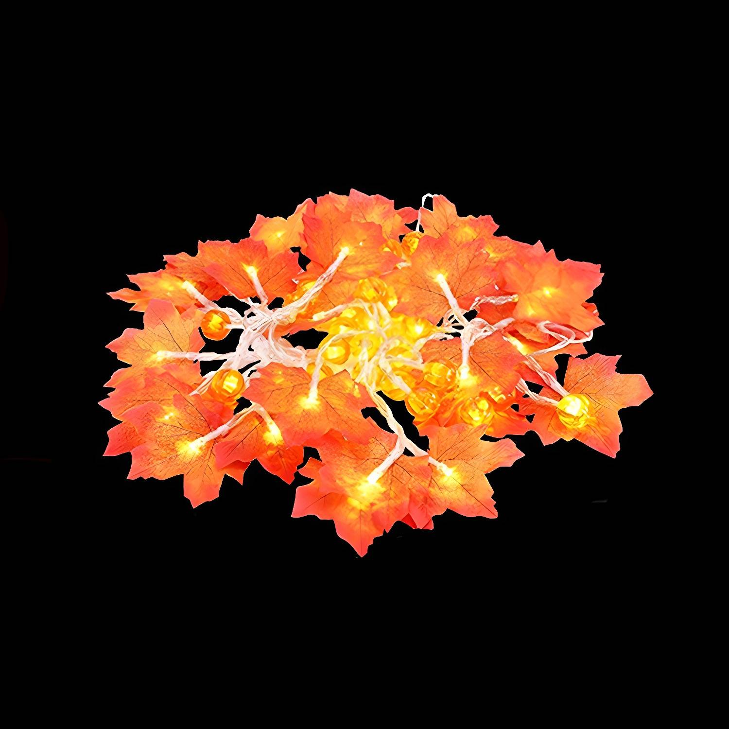 Imported image e5480b377409 3329695.jpg