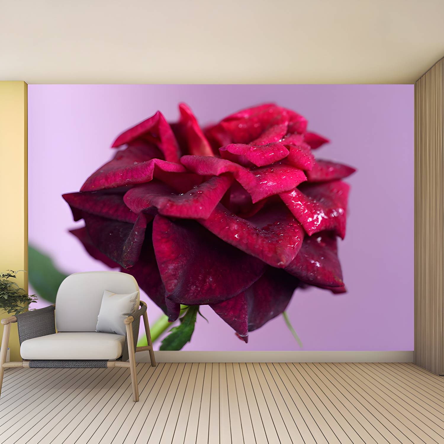 Imported image 892f14247674 3334458.jpg