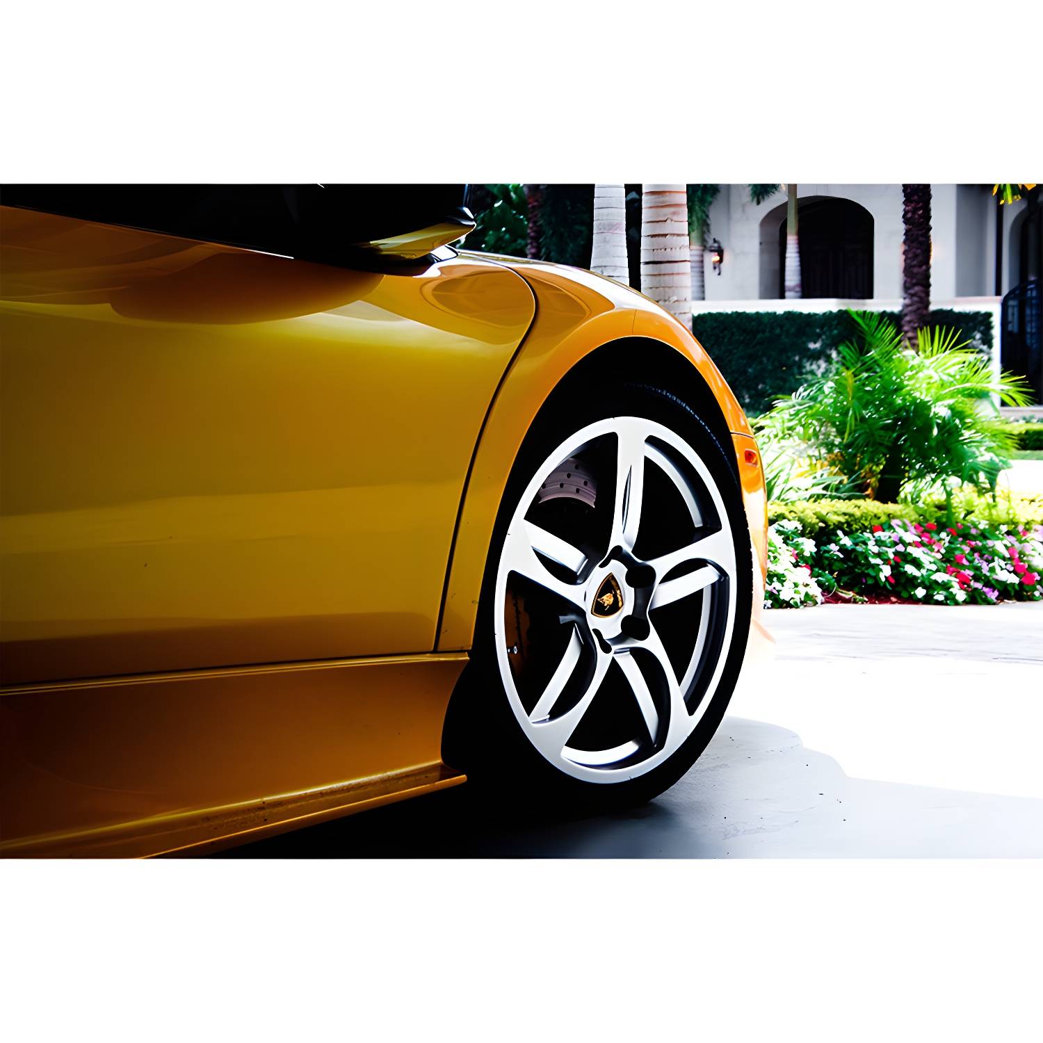 Imported image 5ca3f6ee6717 3334795.jpg