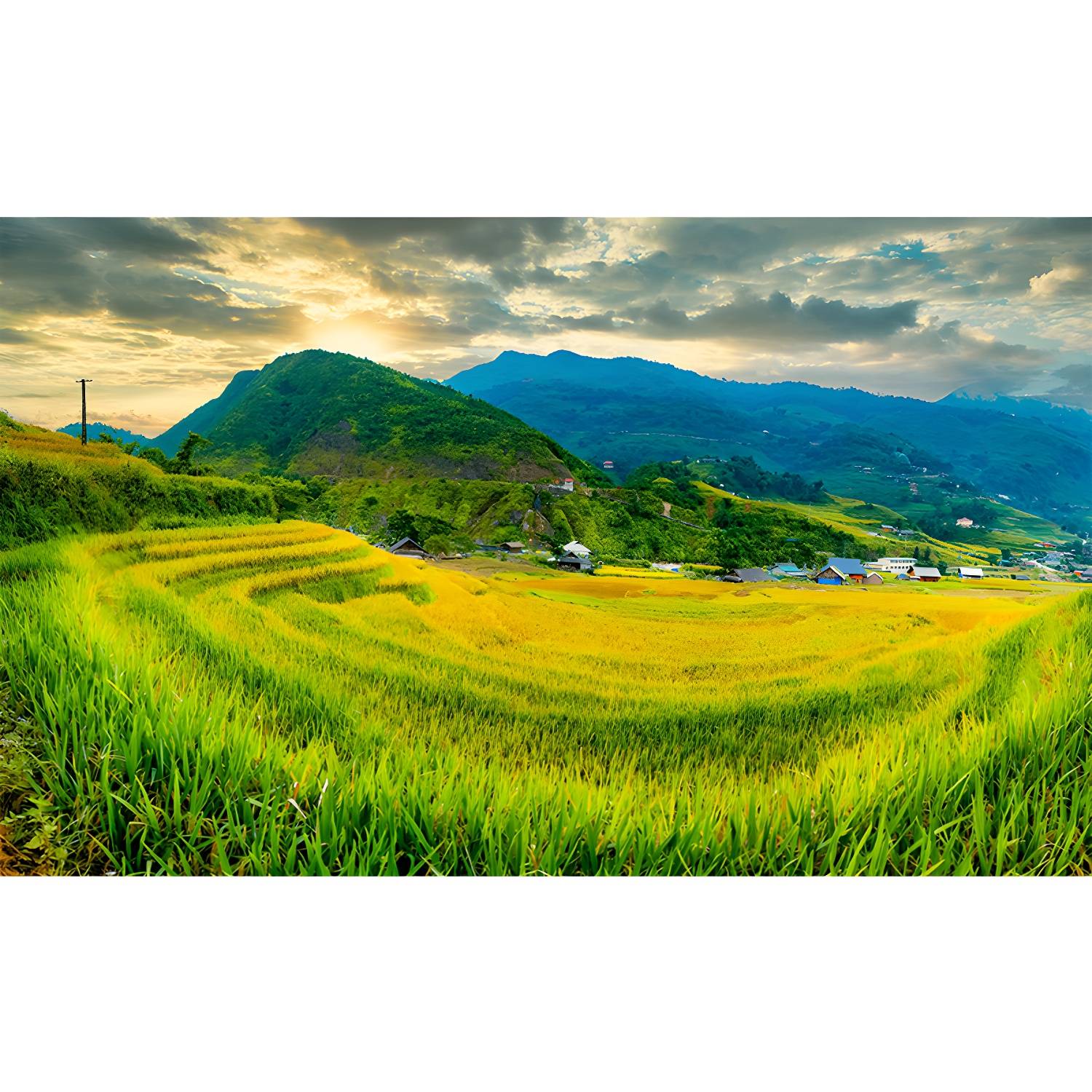 Imported image 5ba5bcb63572 3334945.jpg