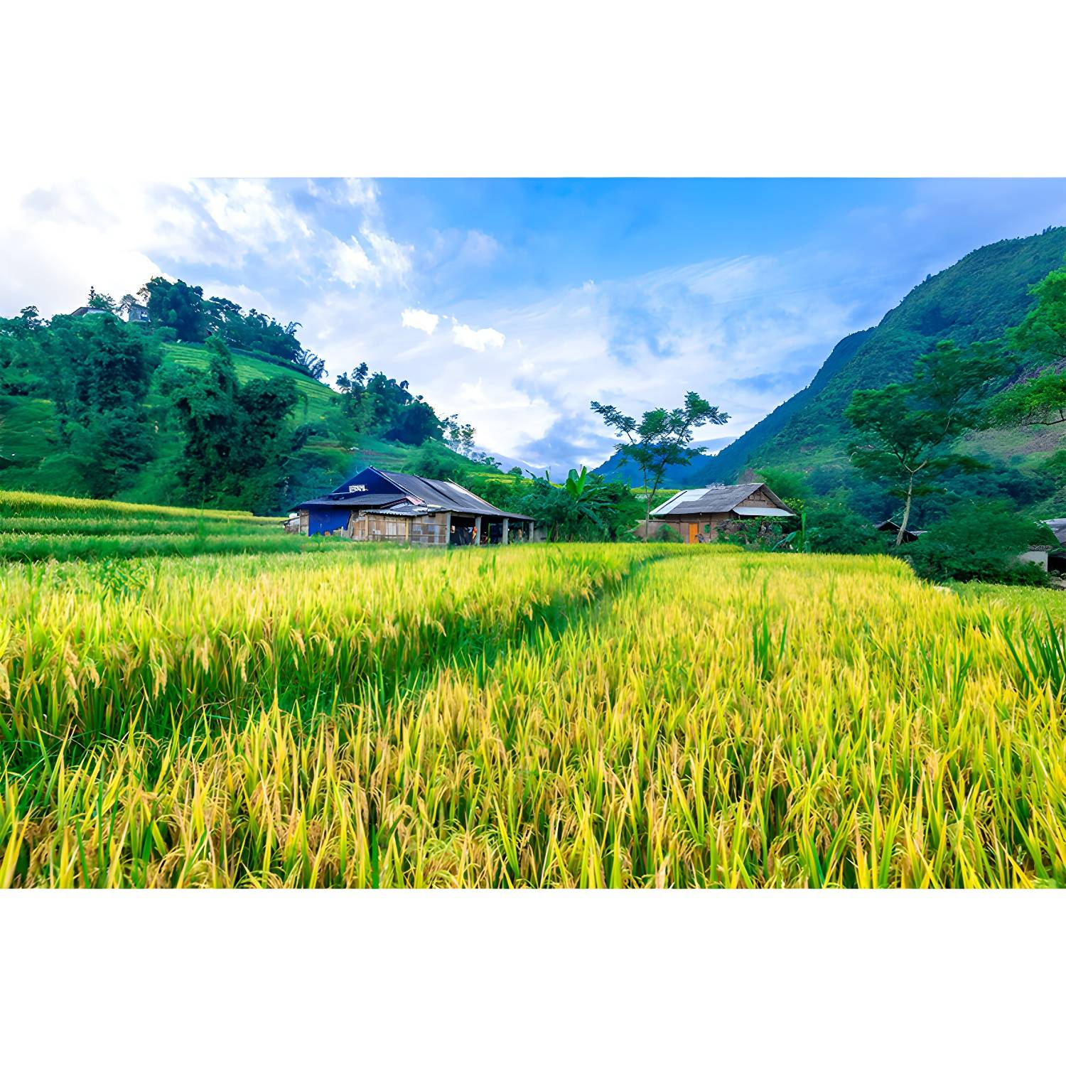 Imported image 7bf8974cc346 3334953.jpg