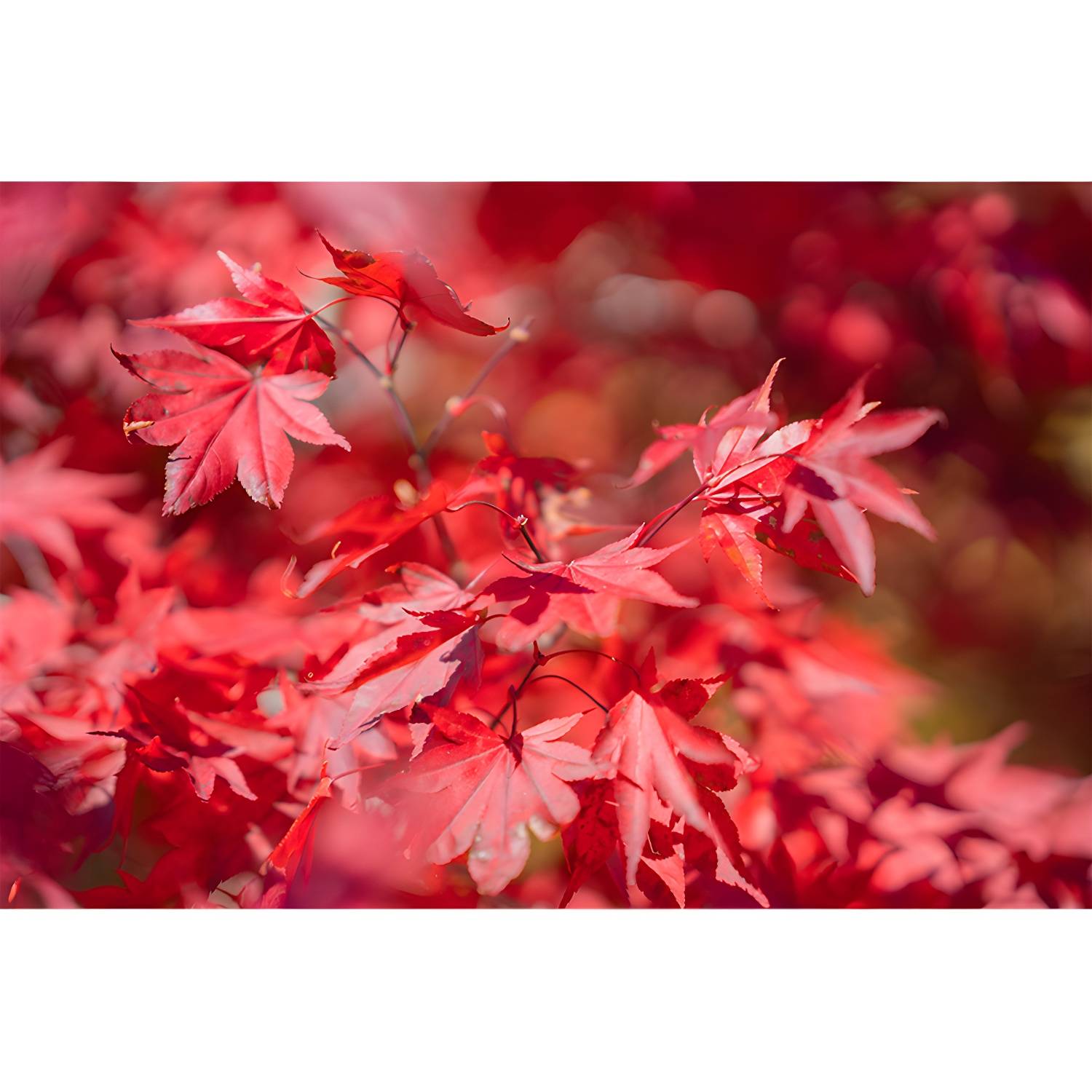 Imported image d9876bb24f9e 3335277.jpg