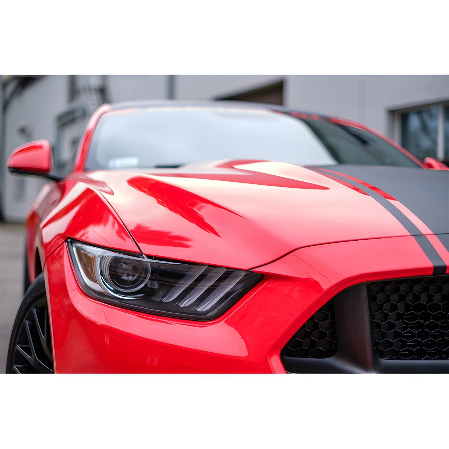 Imported image 44fe9e8e1fc8 3335345.jpg