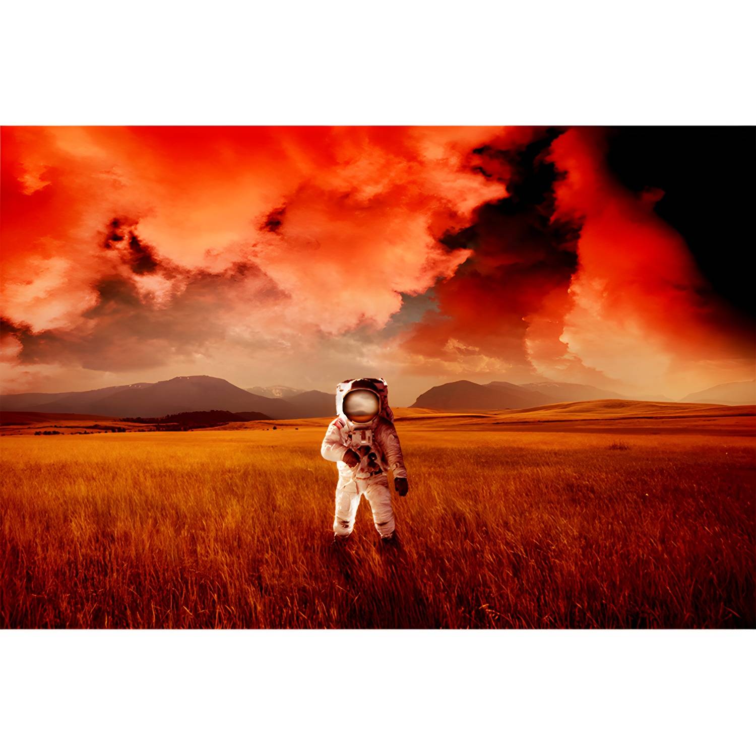 Imported image 17e2abbe3bab 3335521.jpg