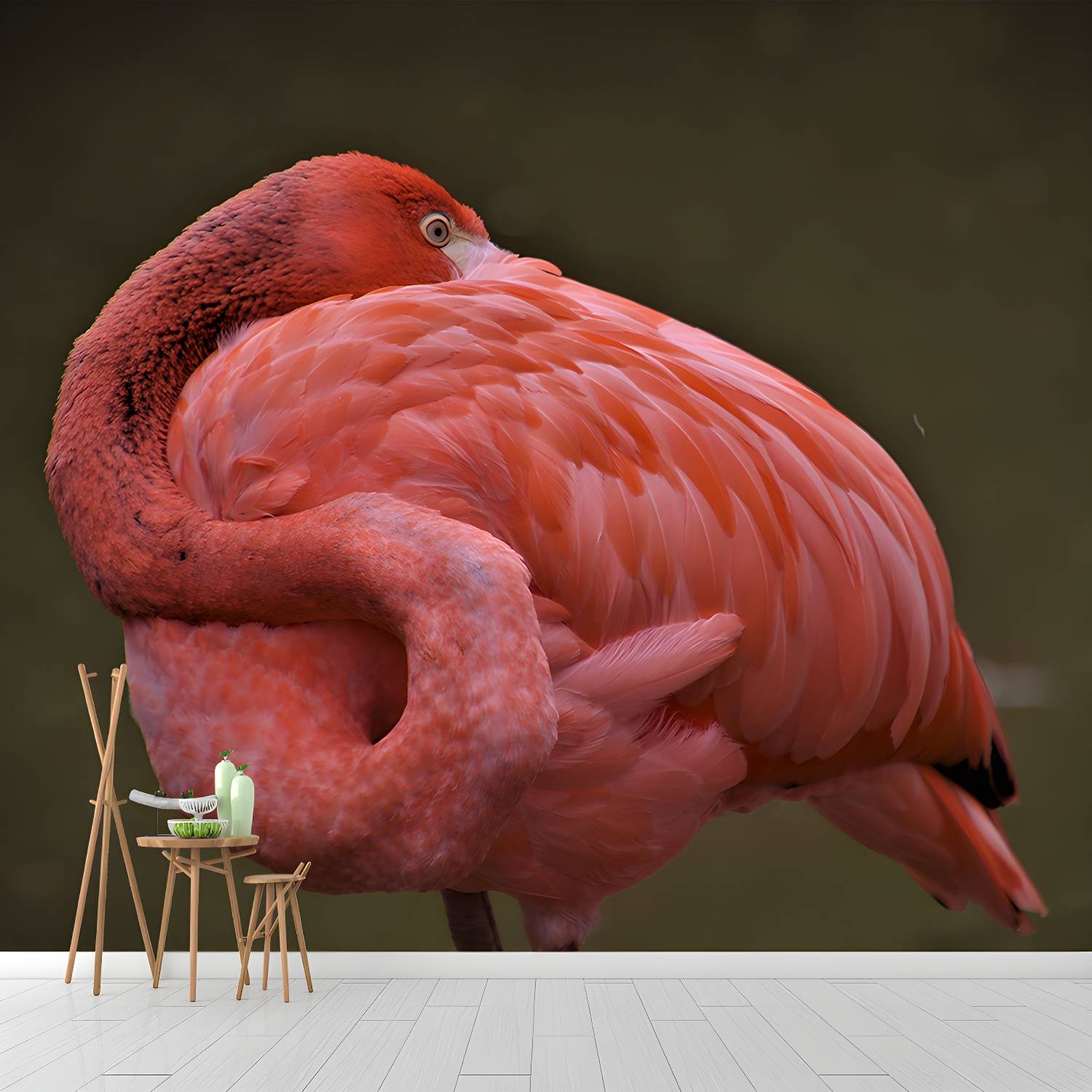 Imported image c4b44150c574 3335613.jpg