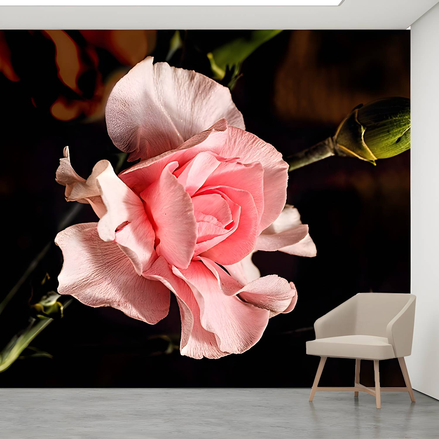 Imported image 41c7fac25a1d 3335927.jpg