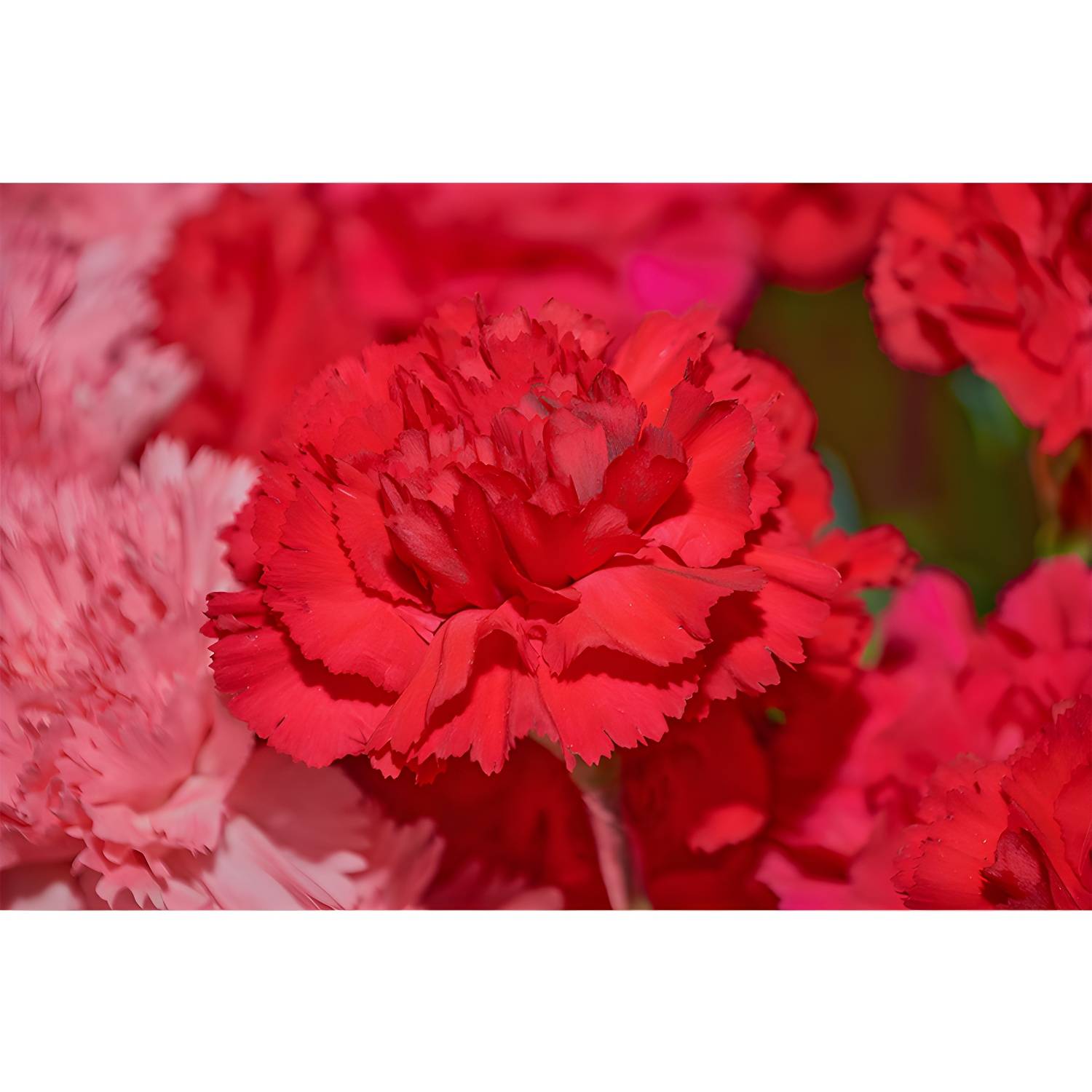Imported image b6d165ef75ec 3335939.jpg