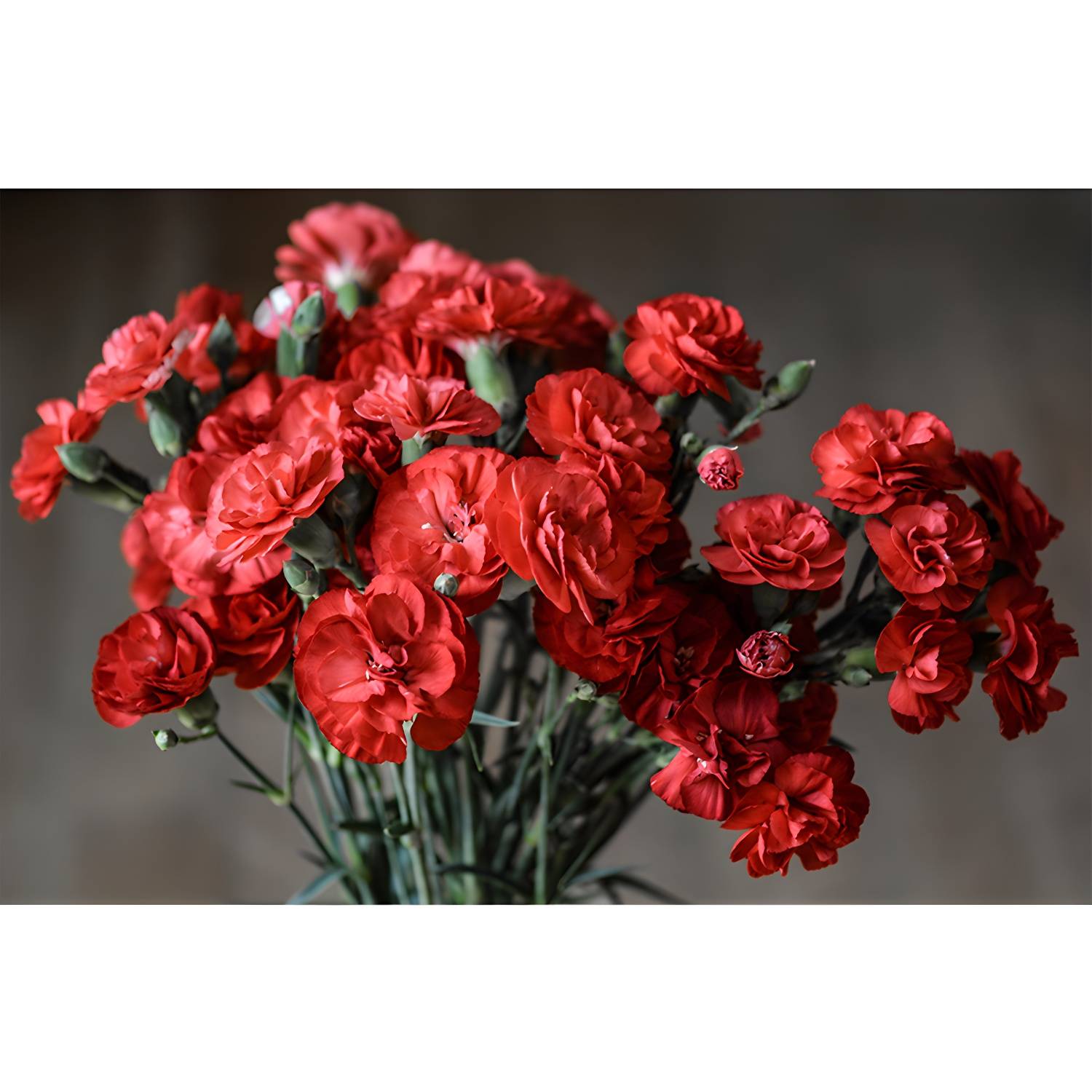 Imported image 80ea34f6f2ac 3335943.jpg