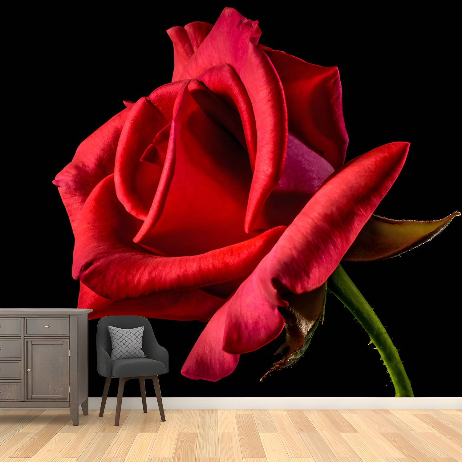 Imported image e997ca6ca302 3335945.jpg