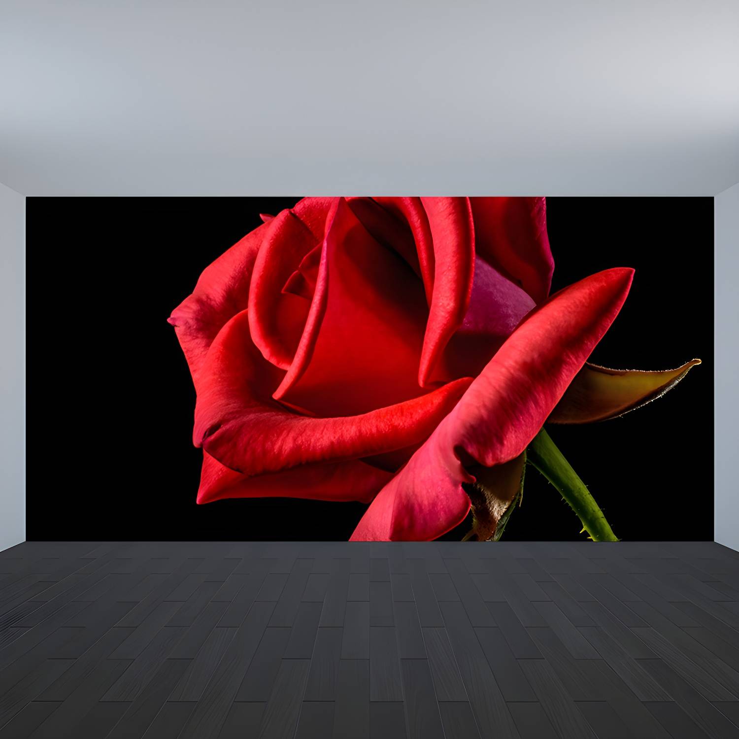 Imported image 9036d373be4a 3335946.jpg