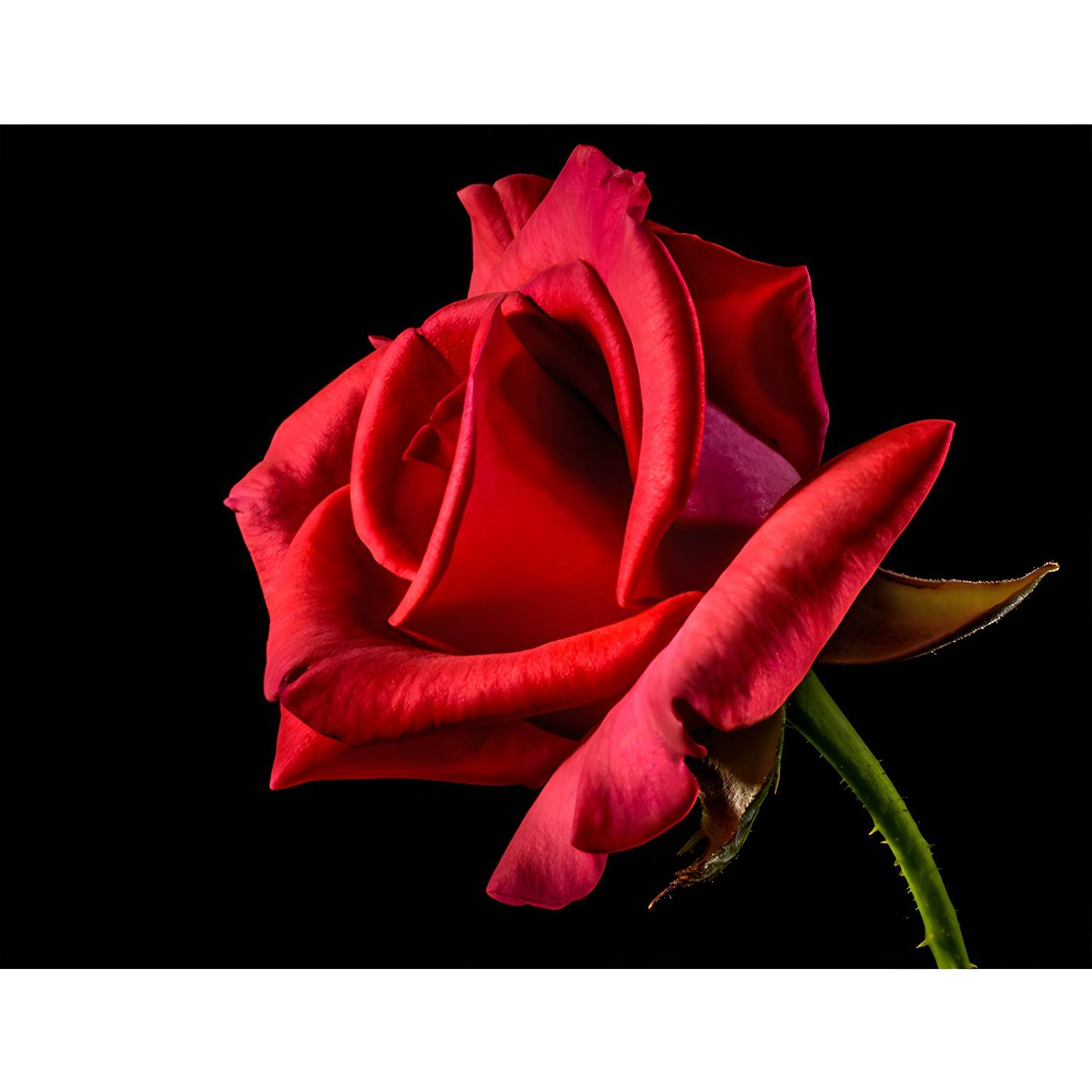 Imported image ec89b026d6ef 3335947.jpg