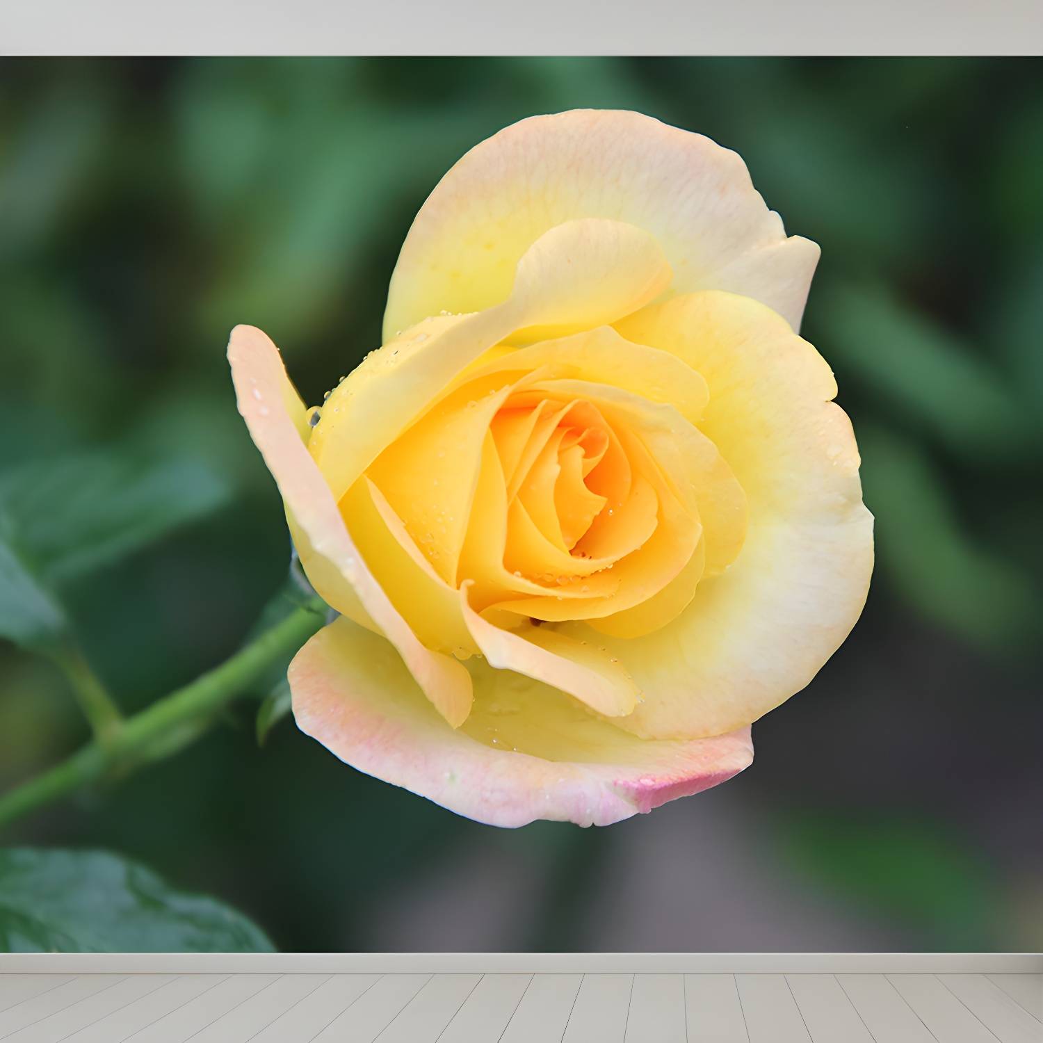 Imported image 24c497b3aafb 3335956.jpg