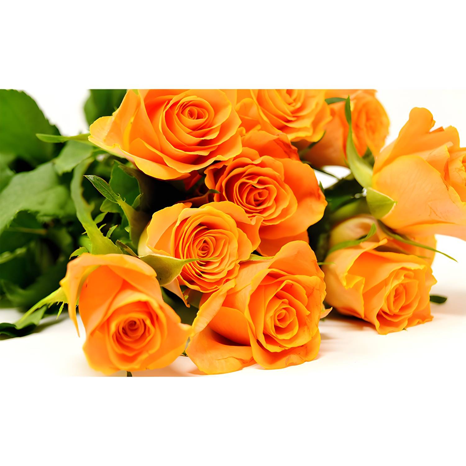 Imported image 1cf54375ffde 3335961.jpg