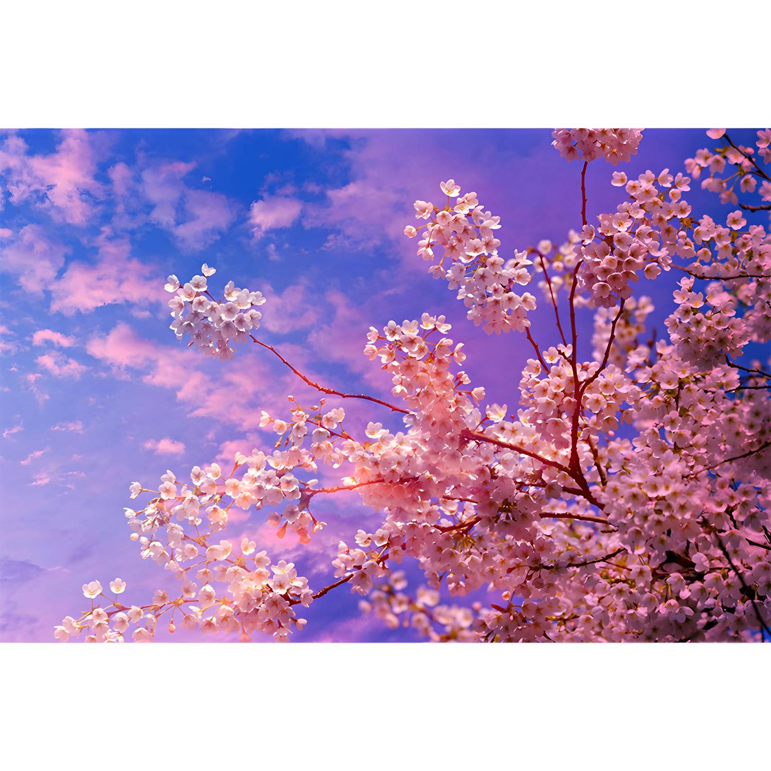 Imported image c27608bbfa75 3335997.jpg