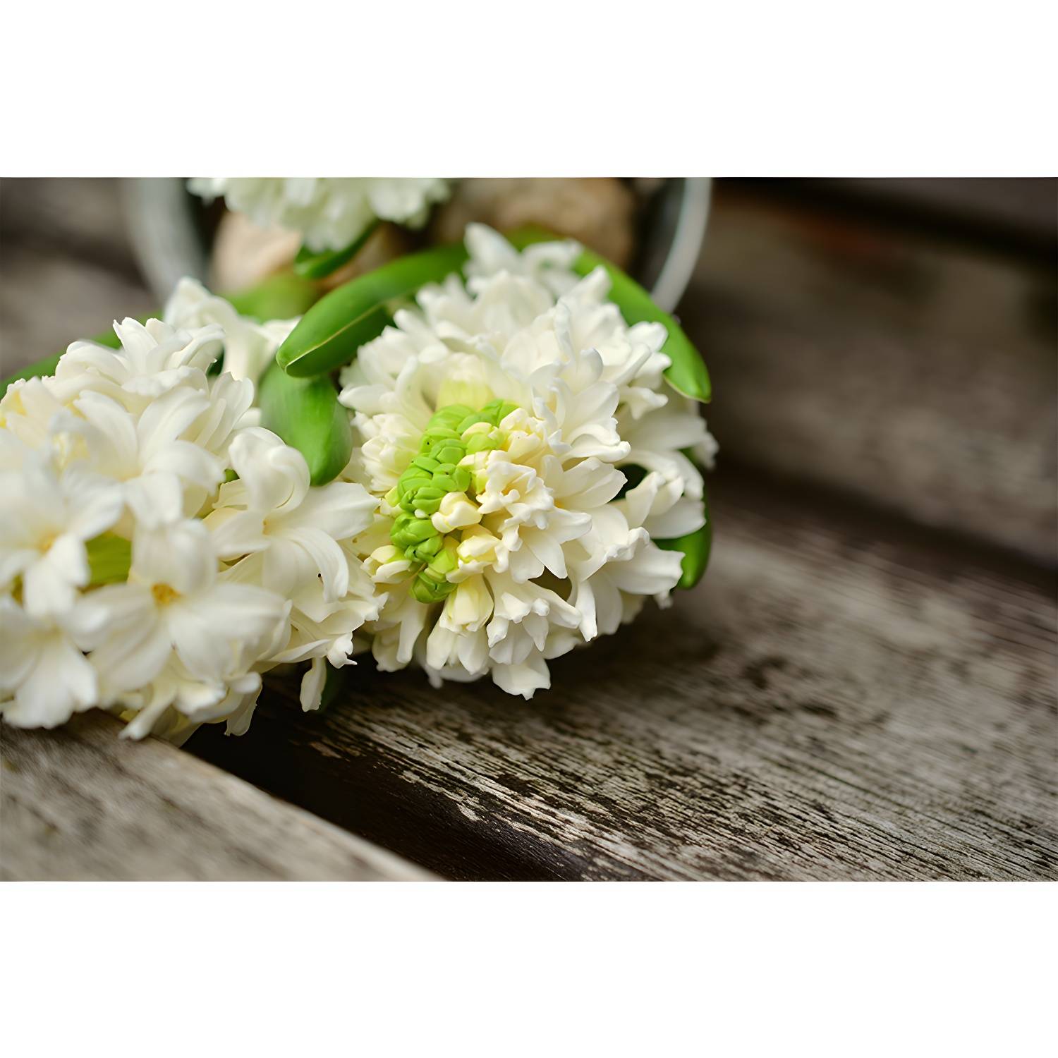 Imported image 2ccf8fc8ecc2 3337236.jpg