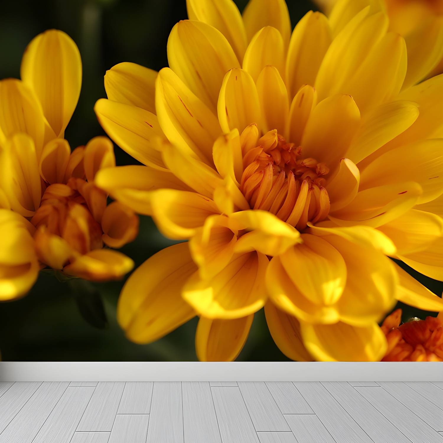 Imported image 217adf0b19b1 3337270.jpg