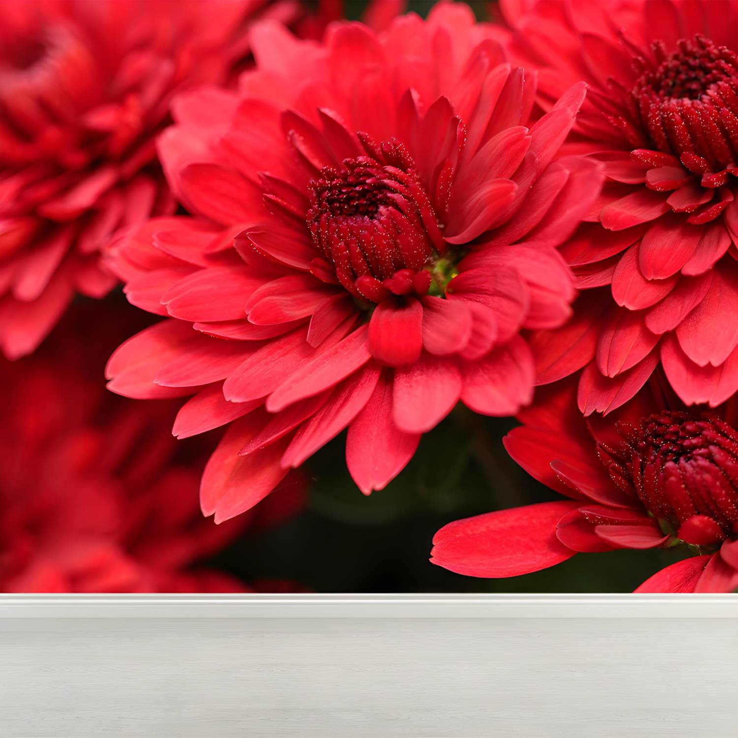 Imported image b2706f790f3f 3337273.jpg