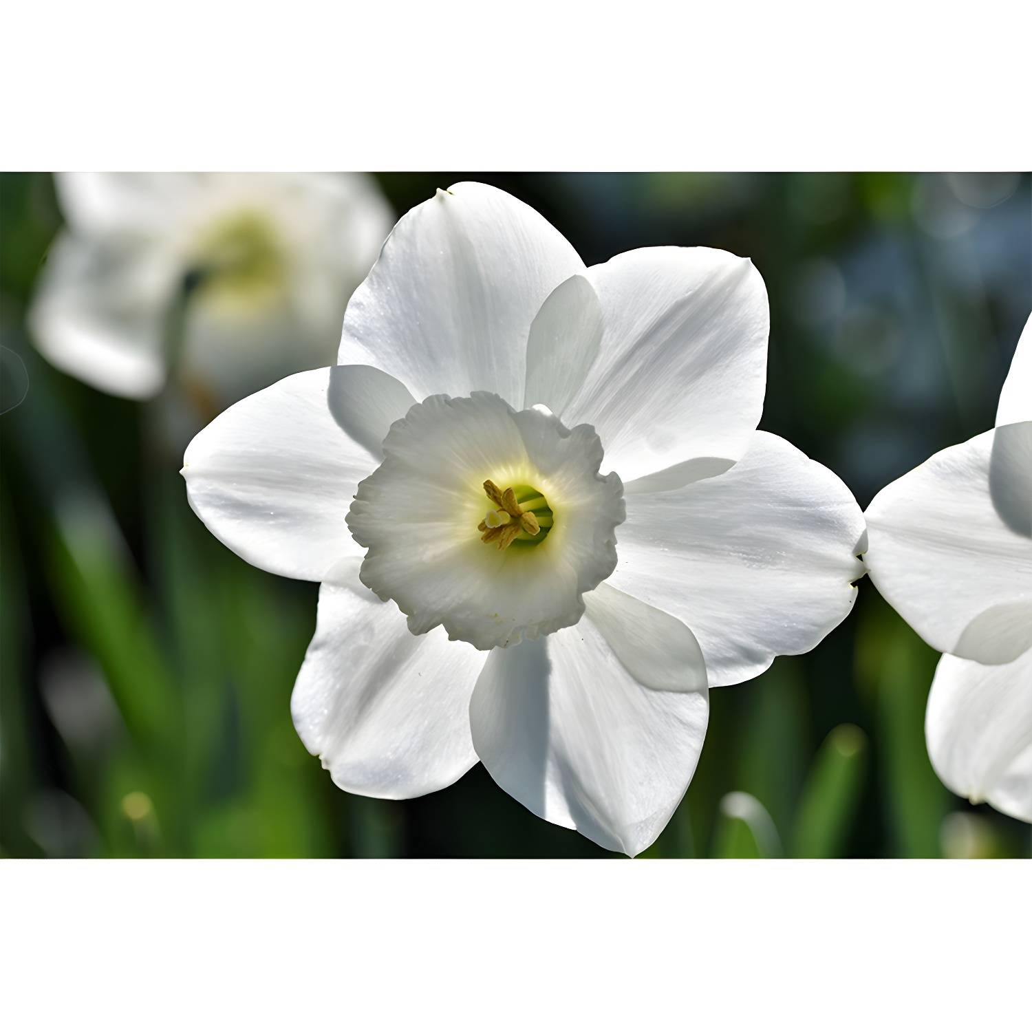 Imported image 58a6a97b513c 3337302.jpg