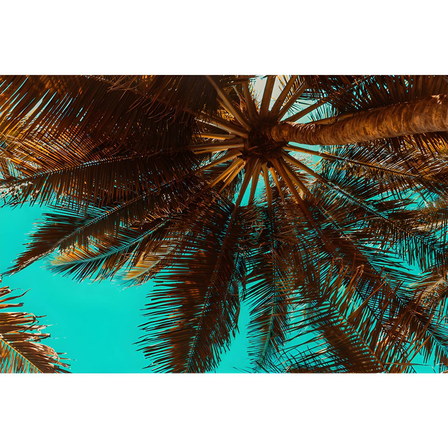 Imported image bd59c7eab74d 3337380.jpg
