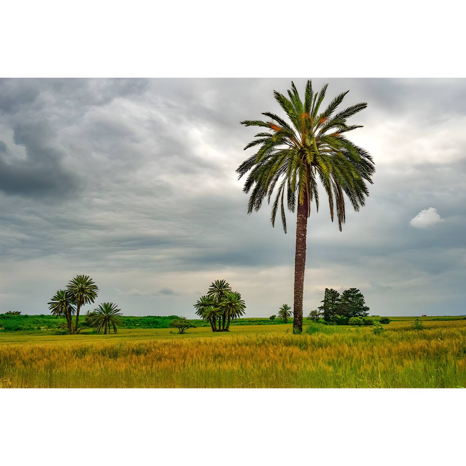 Imported image 5d9e7bc3c3fc 3337406.jpg