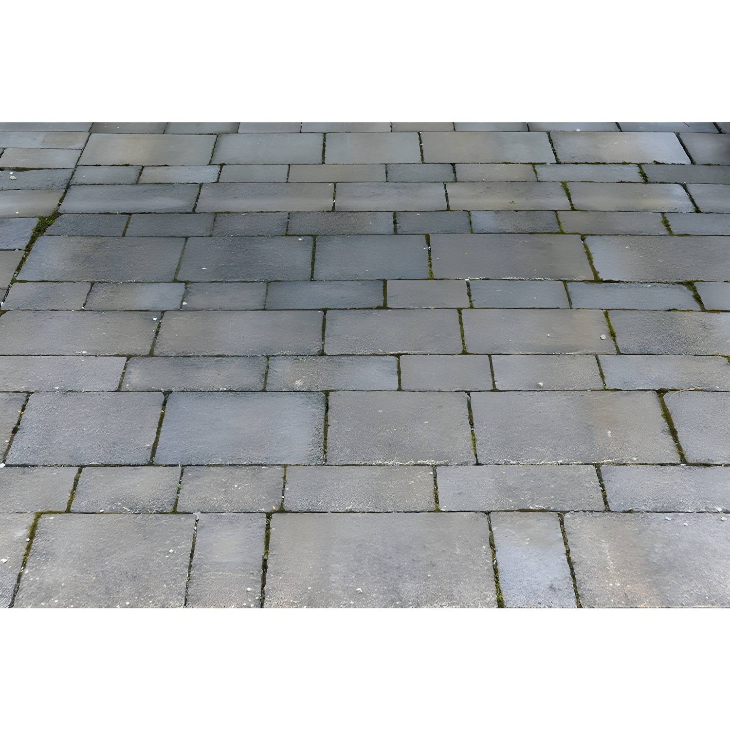Imported image cbe6b2e5de0d 3337726.jpg