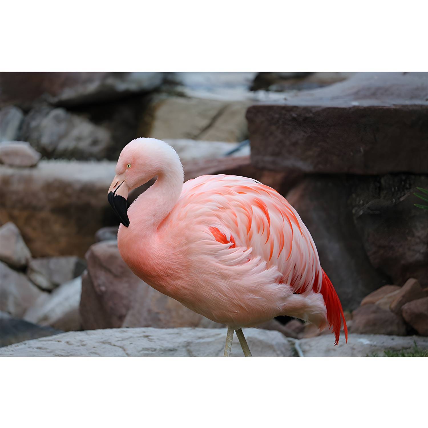 Imported image b988f89a0a44 3338194.jpg