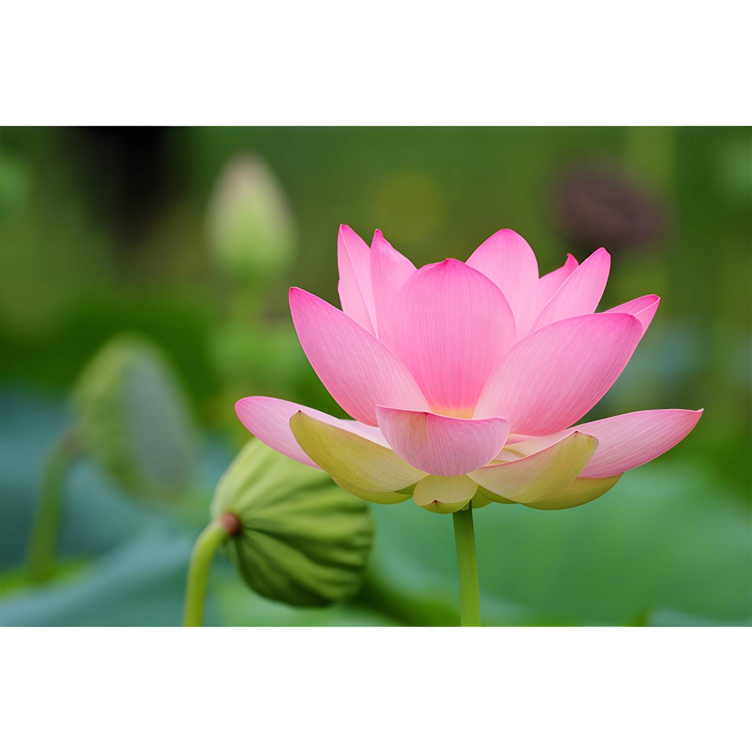 Imported image 8589bf81c25a 3338338.jpg