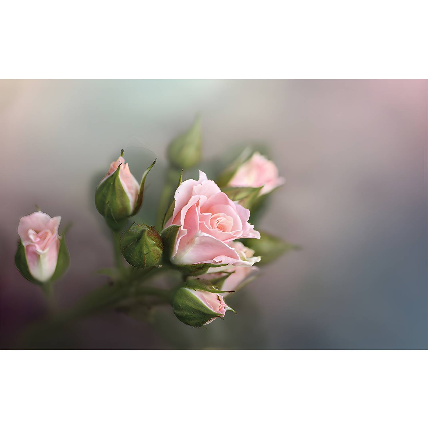 Imported image 3fb76d770ed9 3338346.jpg