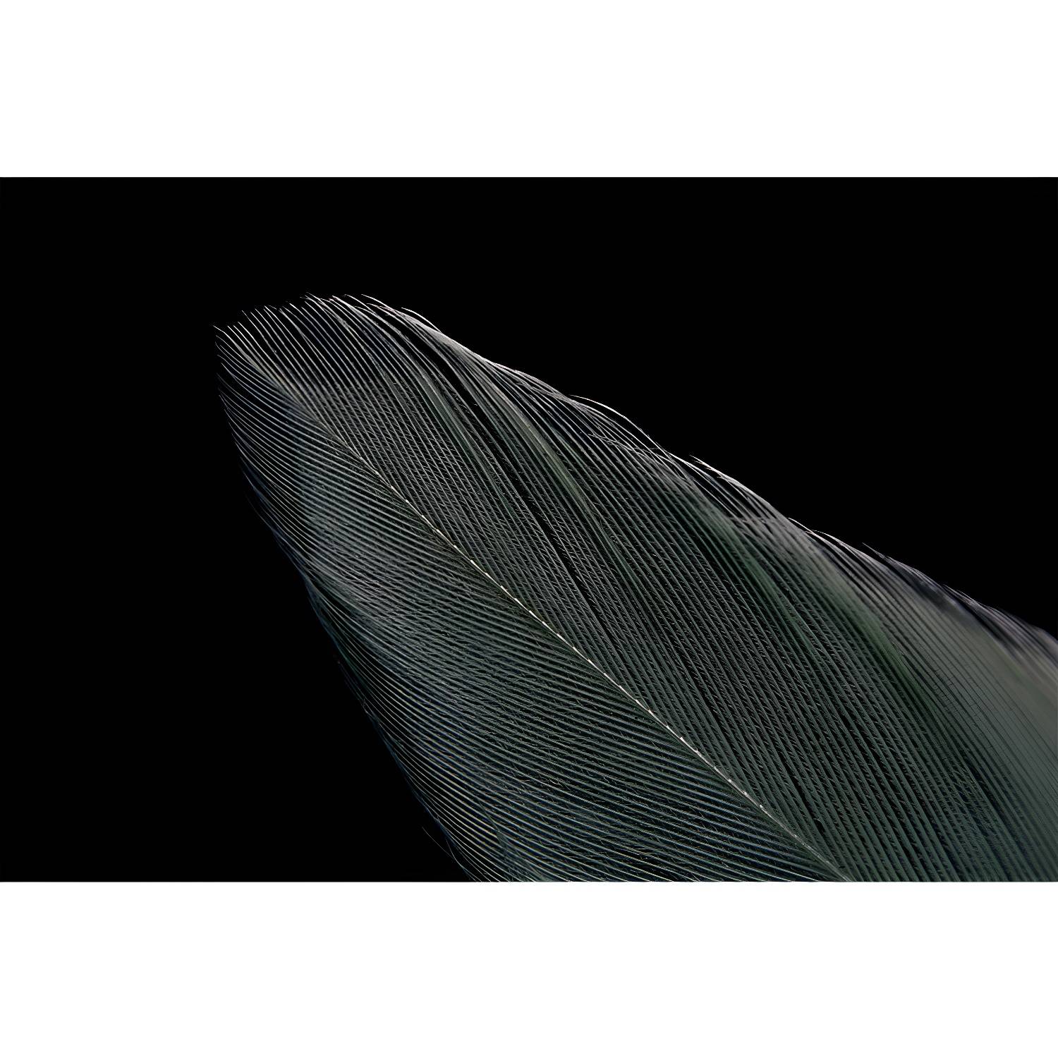 Imported image 7fc5d04cd295 3338418.jpg