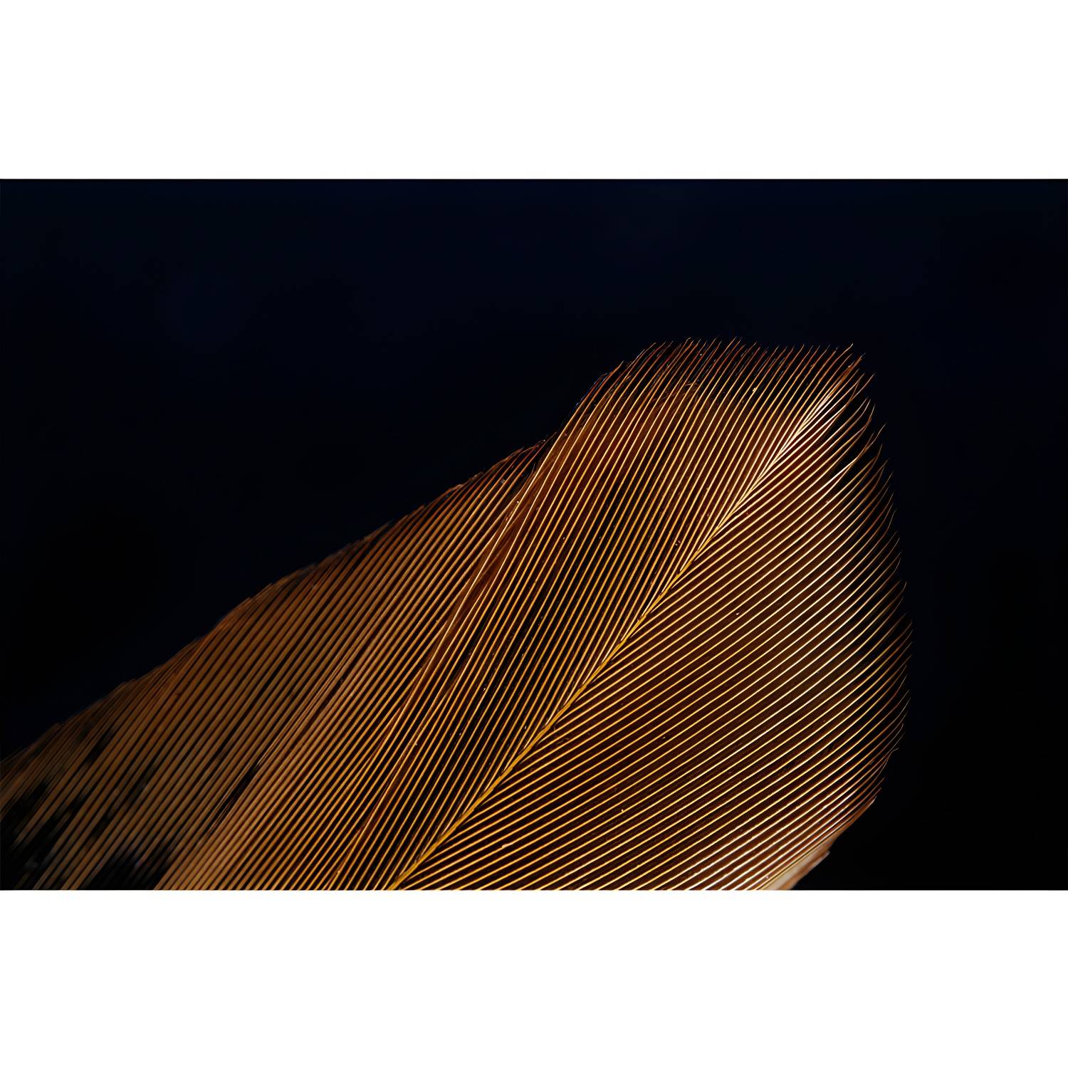 Imported image 364b79289b20 3338424.jpg