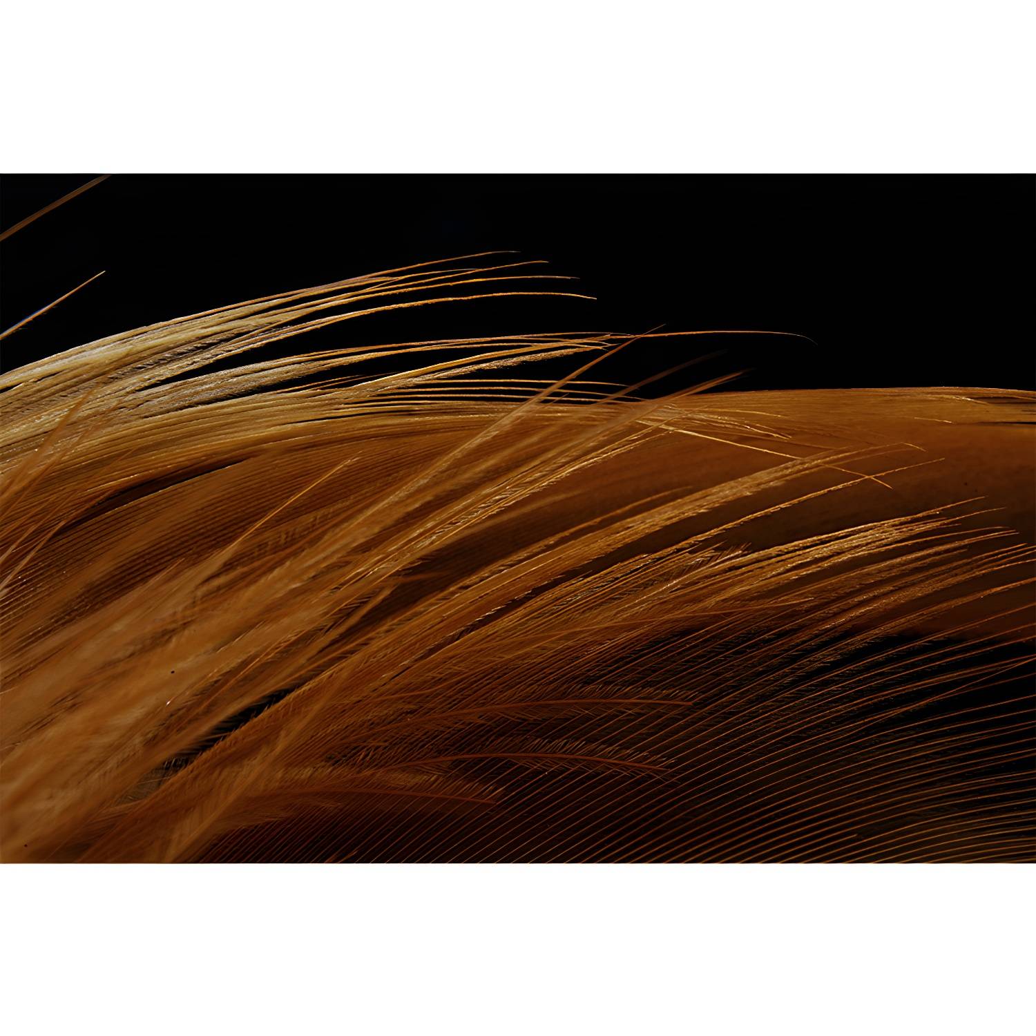 Imported image 6ac31d8e2b69 3338428.jpg