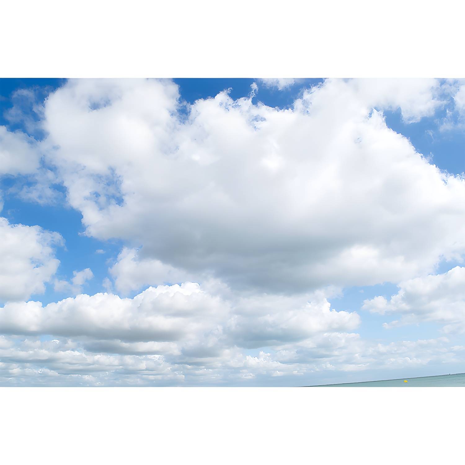 Imported image a7d246ab3611 3338558.jpg