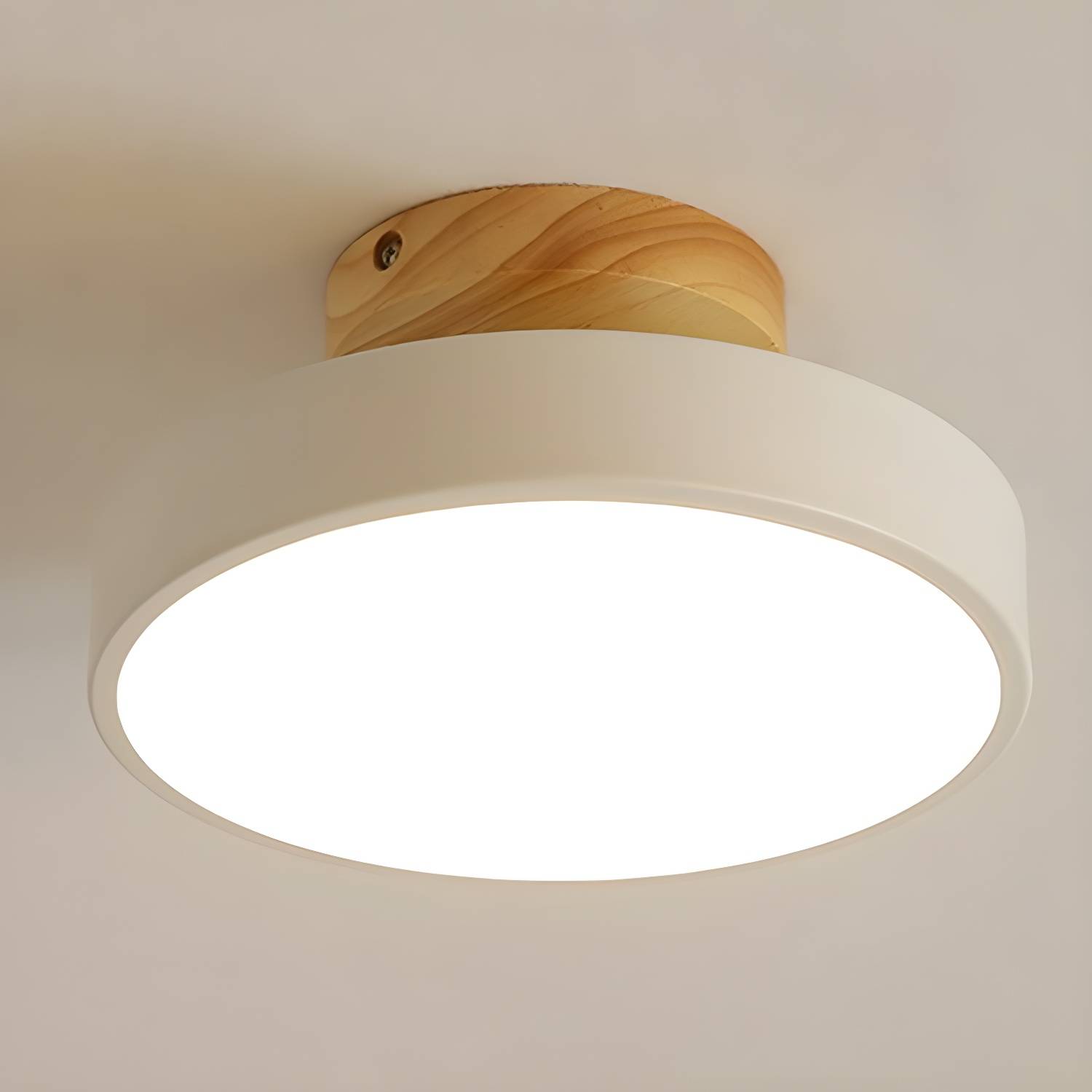 Imported image f77e888fad43 3339616.jpg