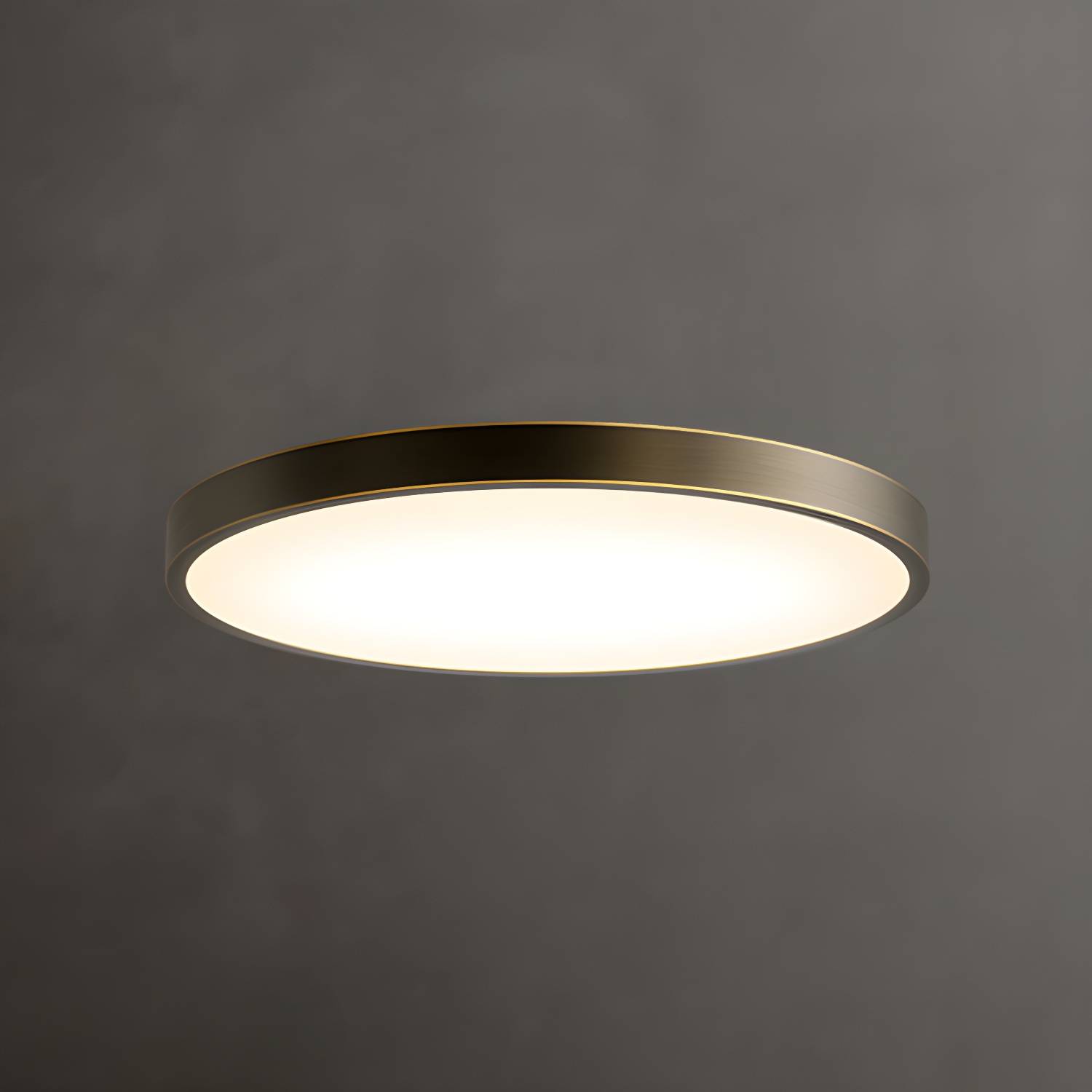 Imported image bda9e8d25ecc 3339679.jpg