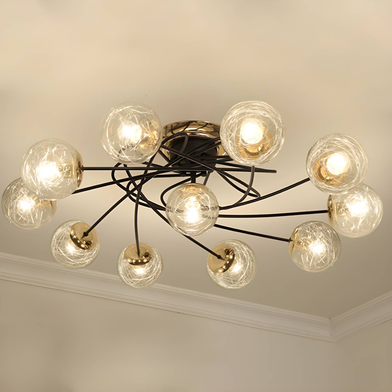 Imported image 6a262606721b 3339776.jpg