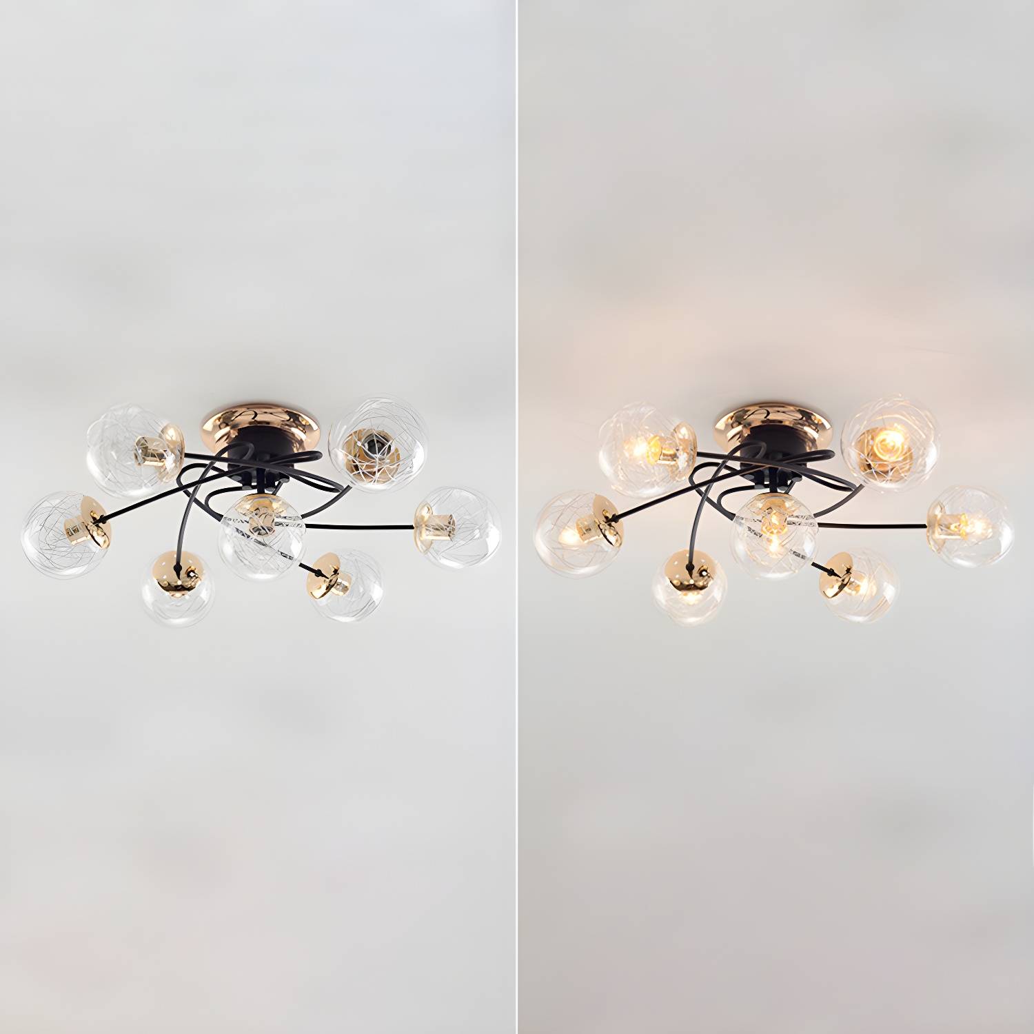 Imported image b99400f1200d 3339782.jpg