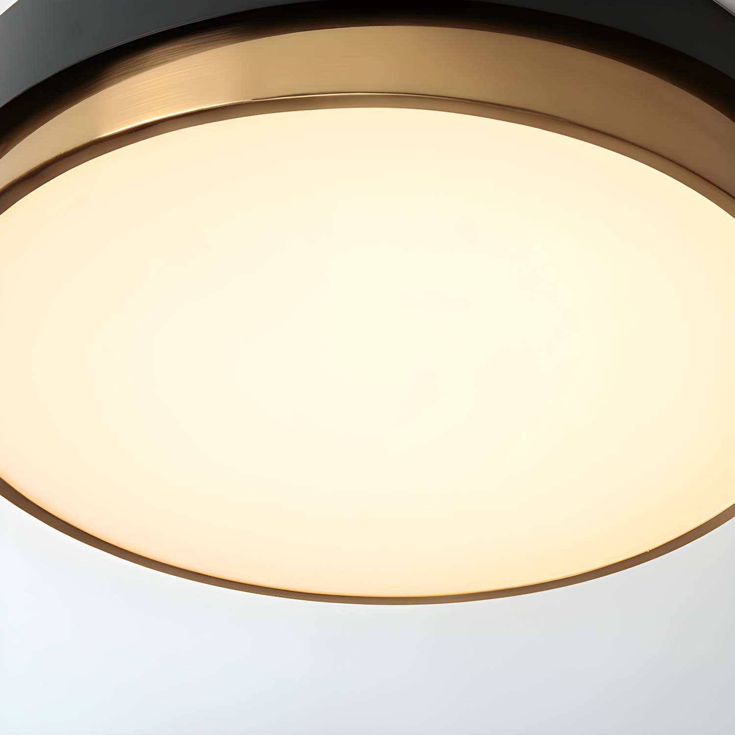 Imported image 4ff444a73669 3339827.jpg