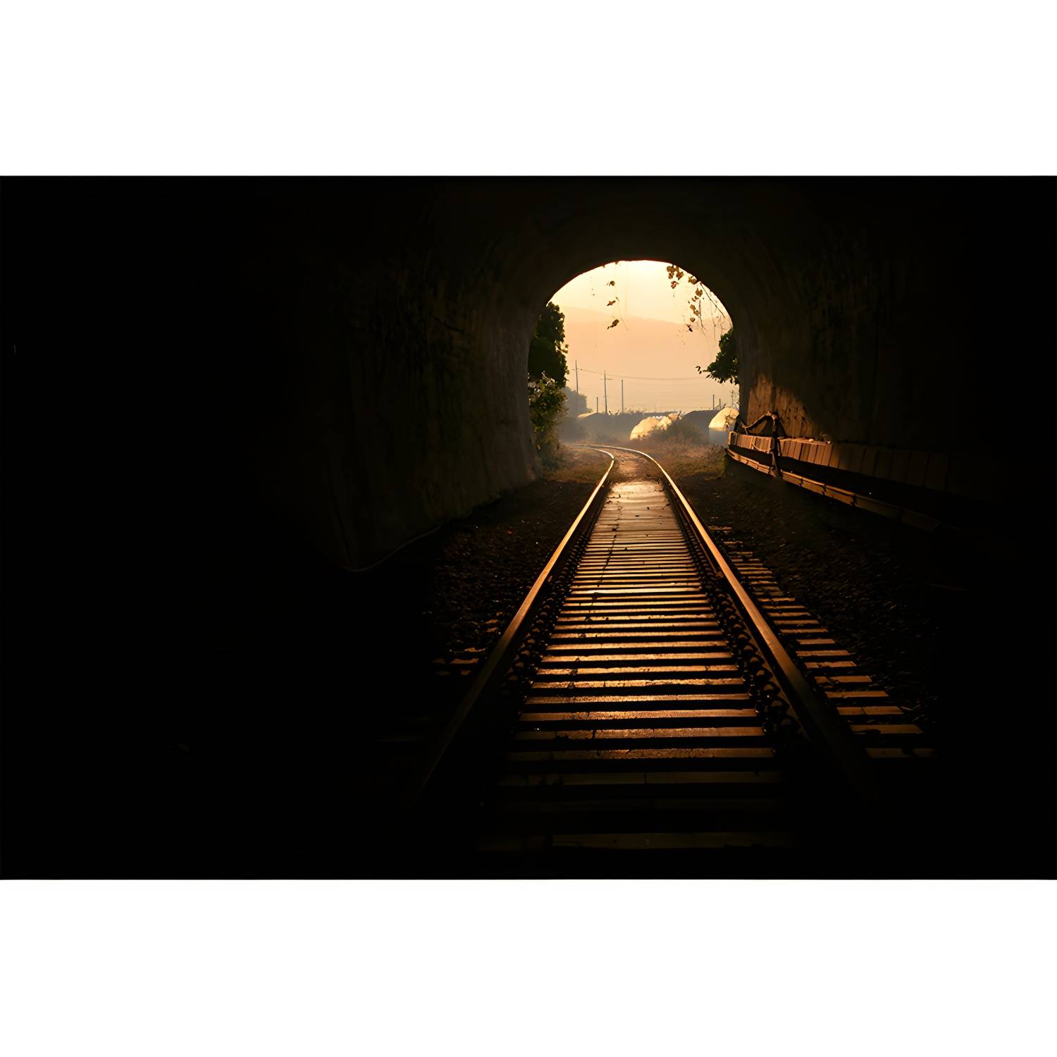 Imported image 89ba0da48c99 3340638.jpg