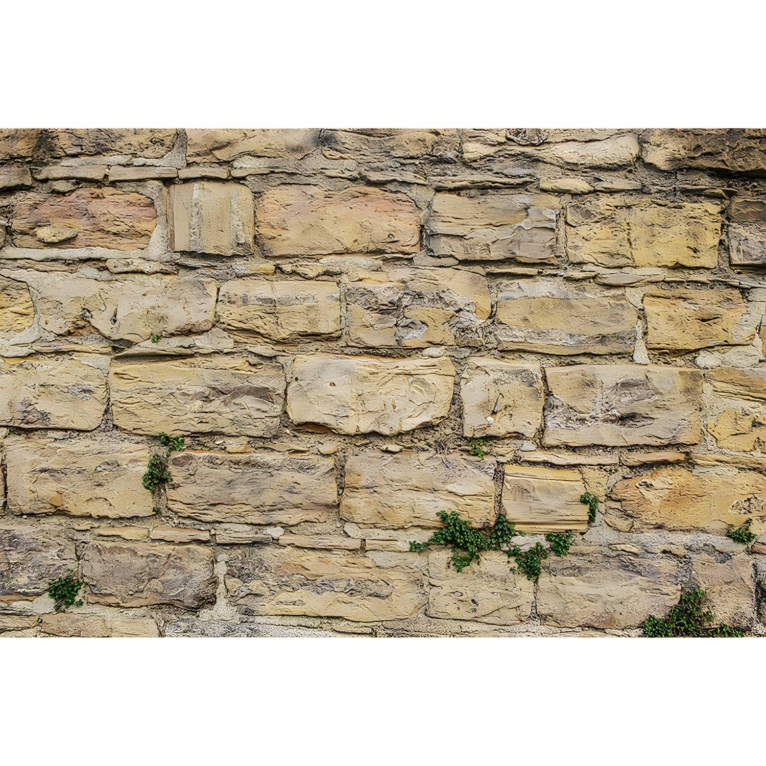 Imported image ca8bbe6fdd12 3341157.jpg